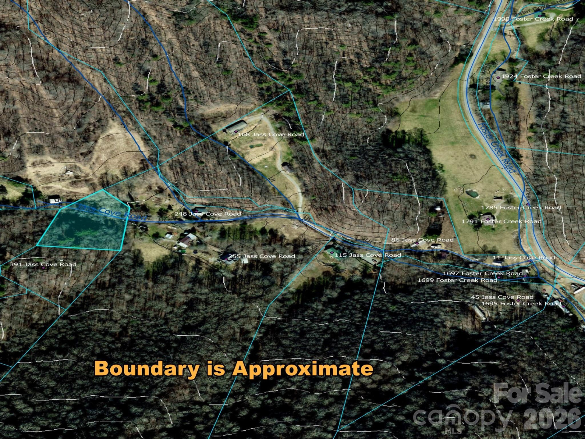 TBD 1.2 Acres Jass Cove Road - Photo 2