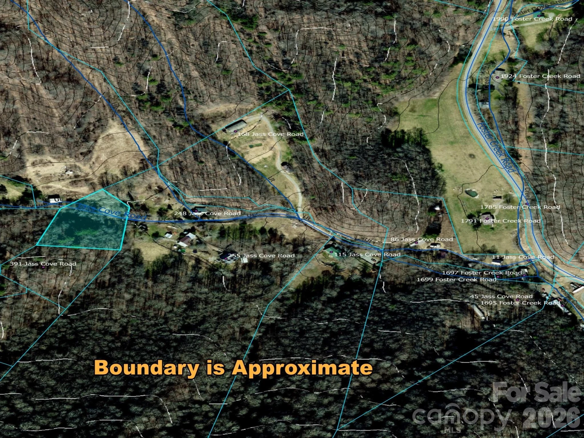 TBD 1.2 Acres Jass Cove Road - Photo 2
