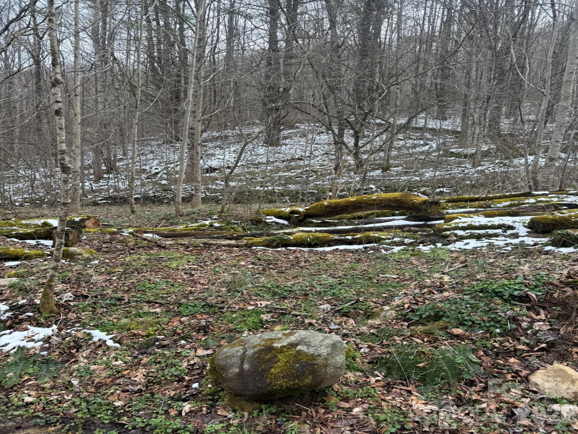 TBD 1.2 Acres Jass Cove Road - Photo 3