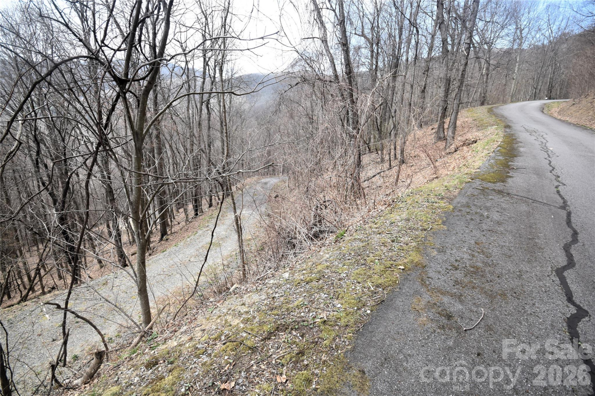 44 Prosperity Ridge #44 - Photo 2