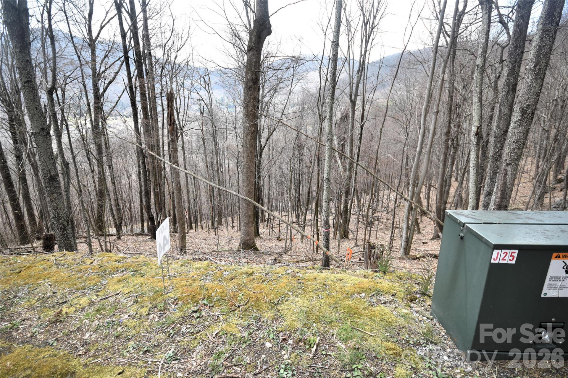 44 Prosperity Ridge #44 - Photo 4