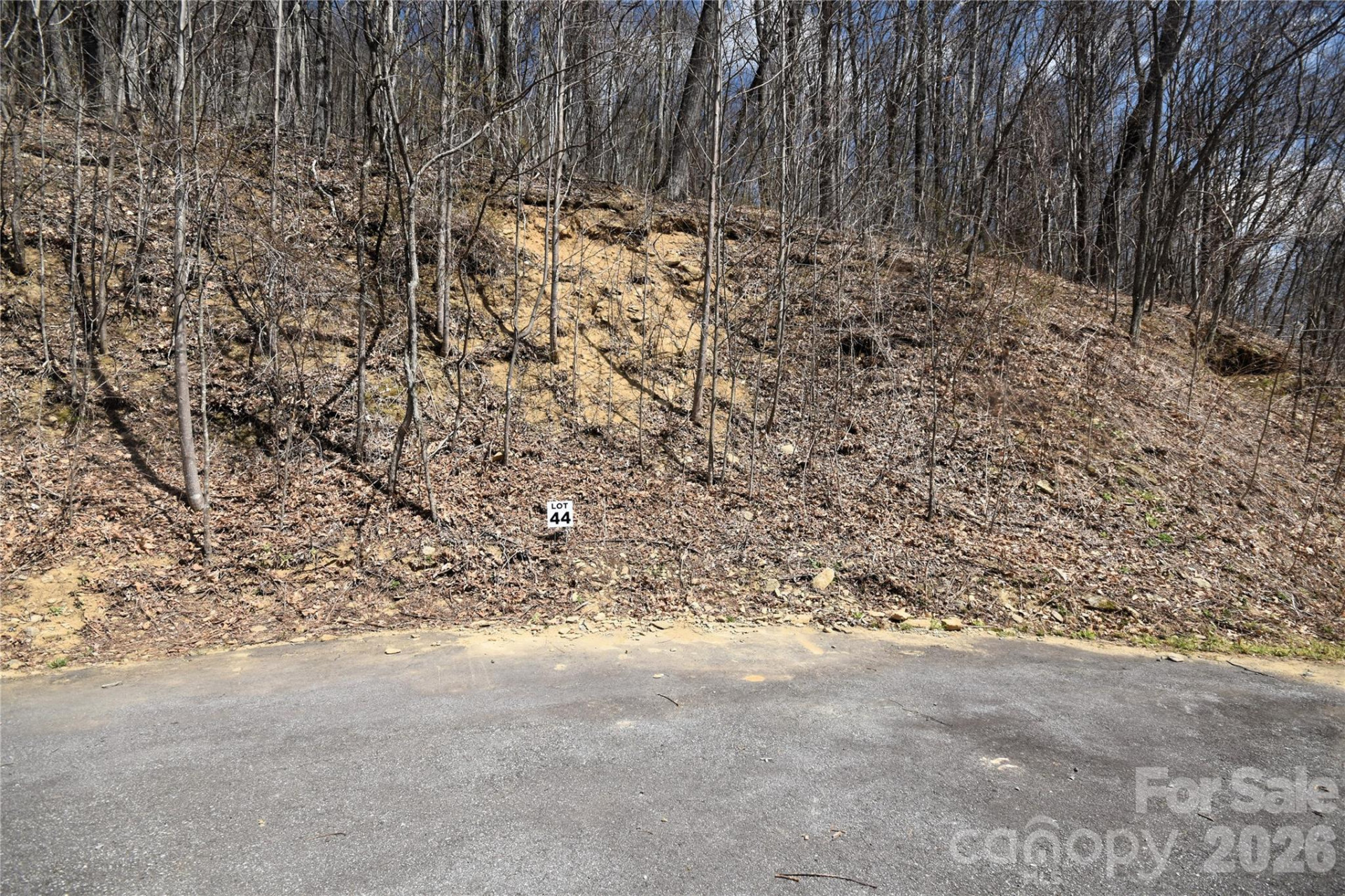 44 Prosperity Ridge #44 - Photo 5