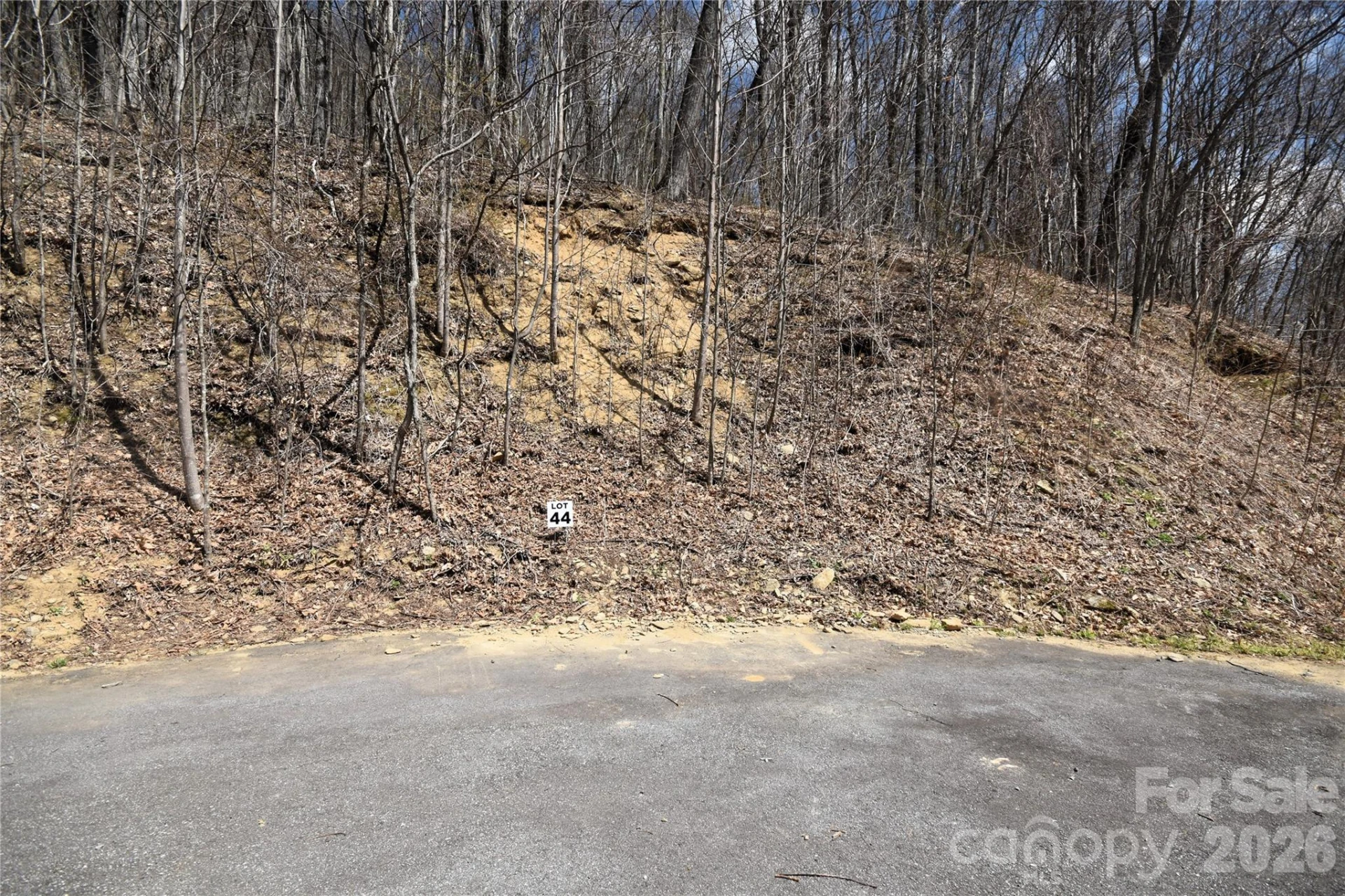 44 Prosperity Ridge #44 - Photo 5