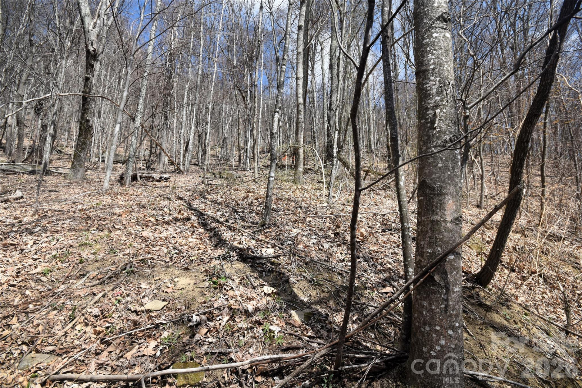 44 Prosperity Ridge #44 - Photo 6