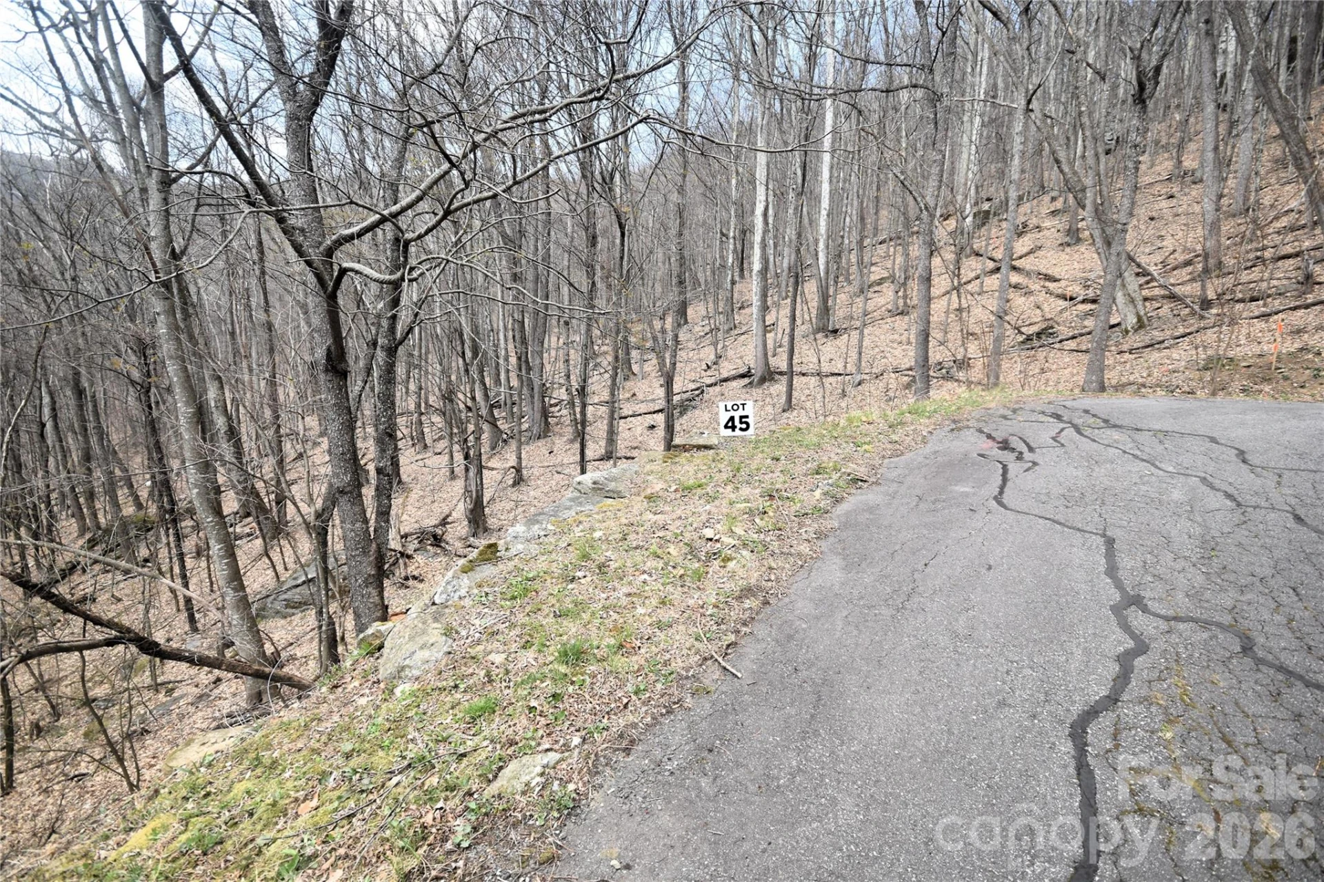45 Prosperity Ridge #45 - Photo 2