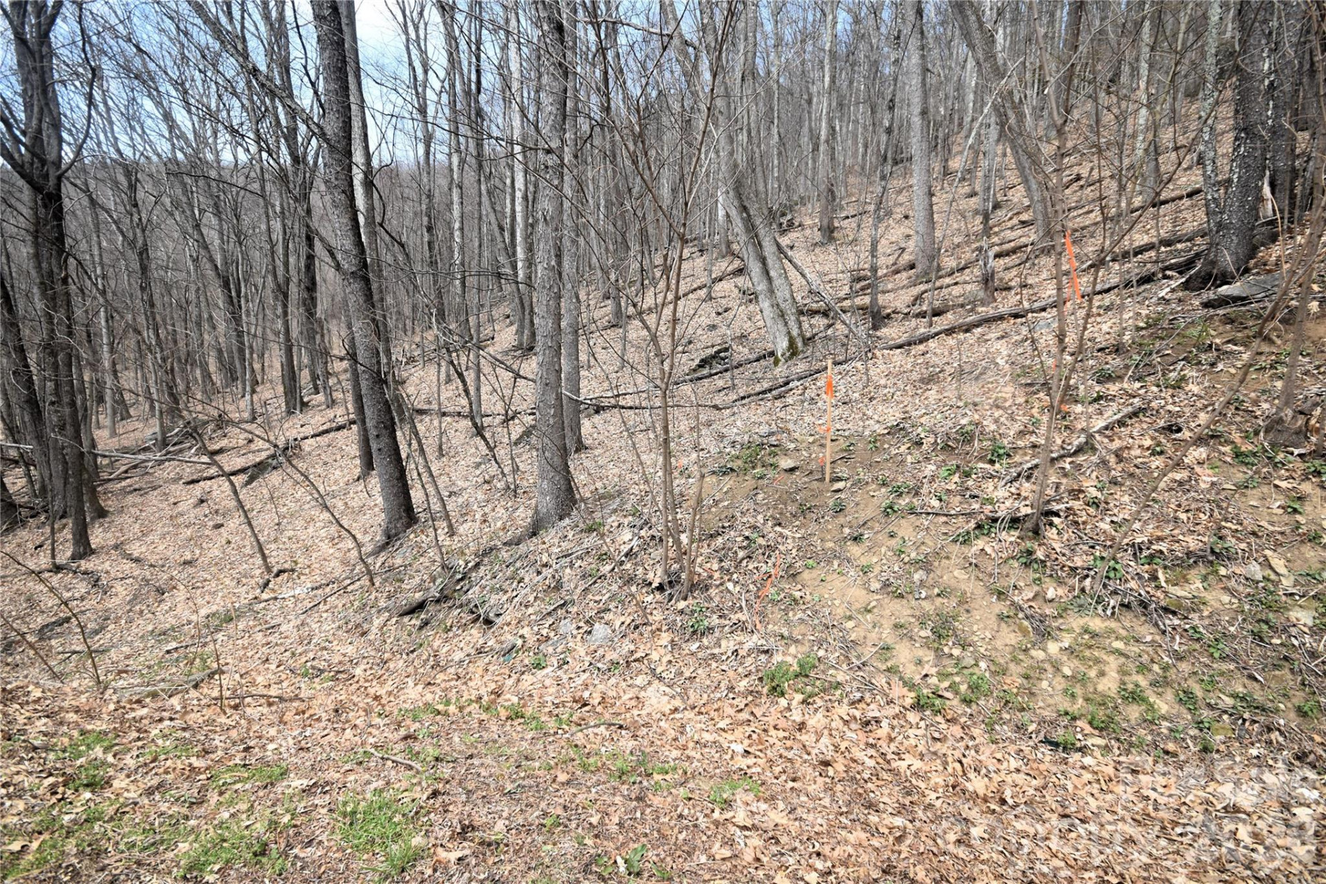 45 Prosperity Ridge #45 - Photo 3