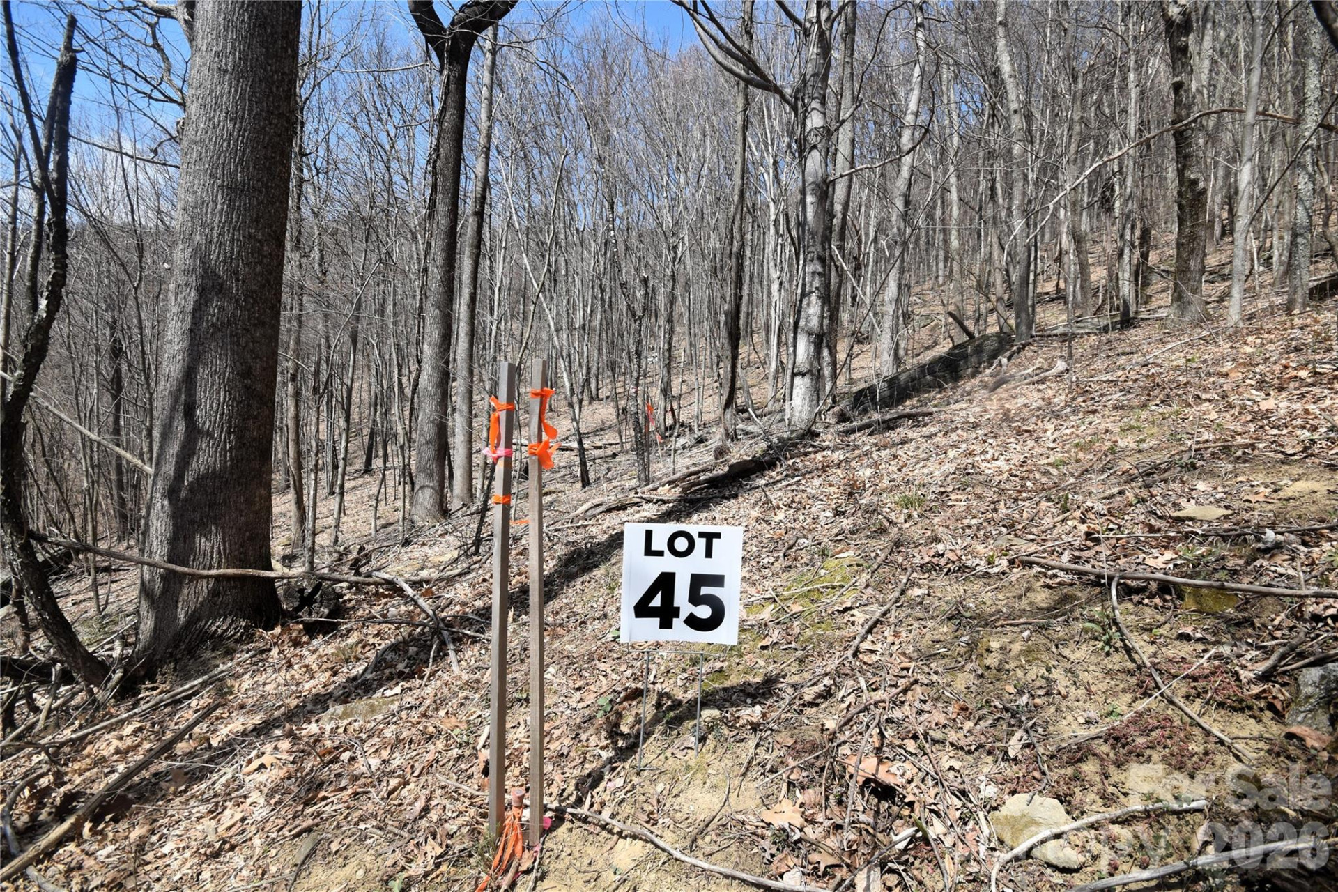 45 Prosperity Ridge #45 - Photo 4