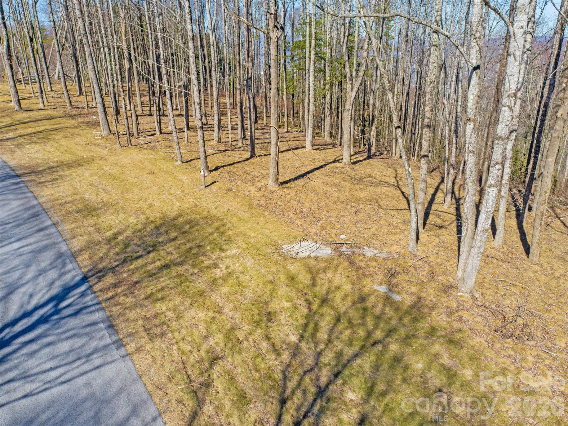 0 East Garden Trail #16 - Photo 2