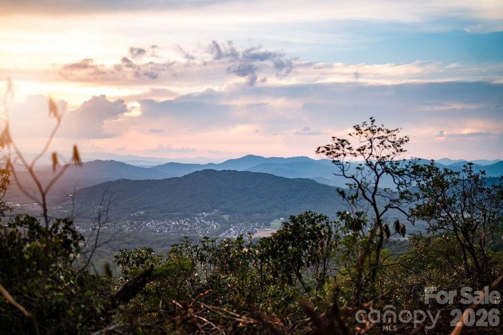 0 East Garden Trail #16 - Photo 12