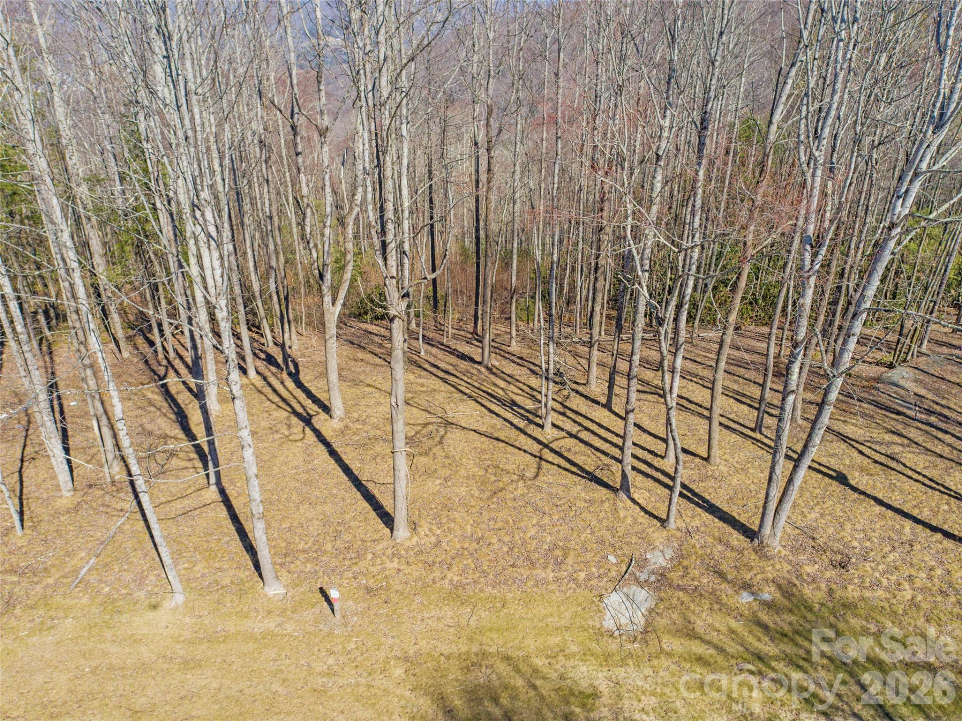 0 East Garden Trail #16 - Photo 6