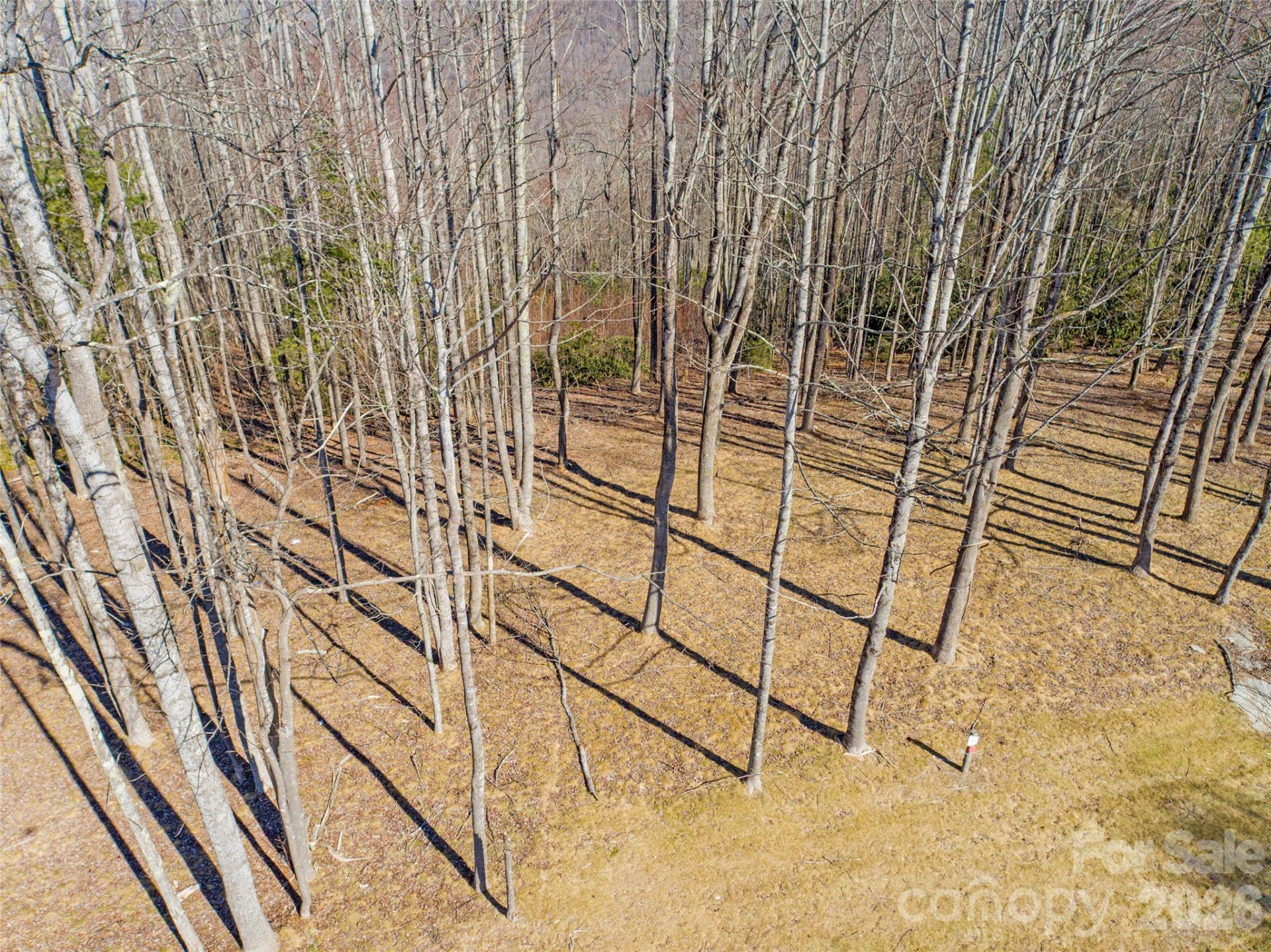 0 East Garden Trail #16 - Photo 7