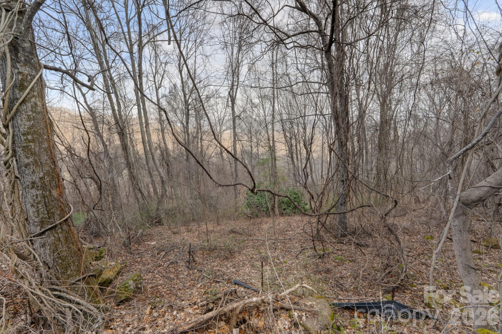 80 View Ridge Parkway - Photo 11