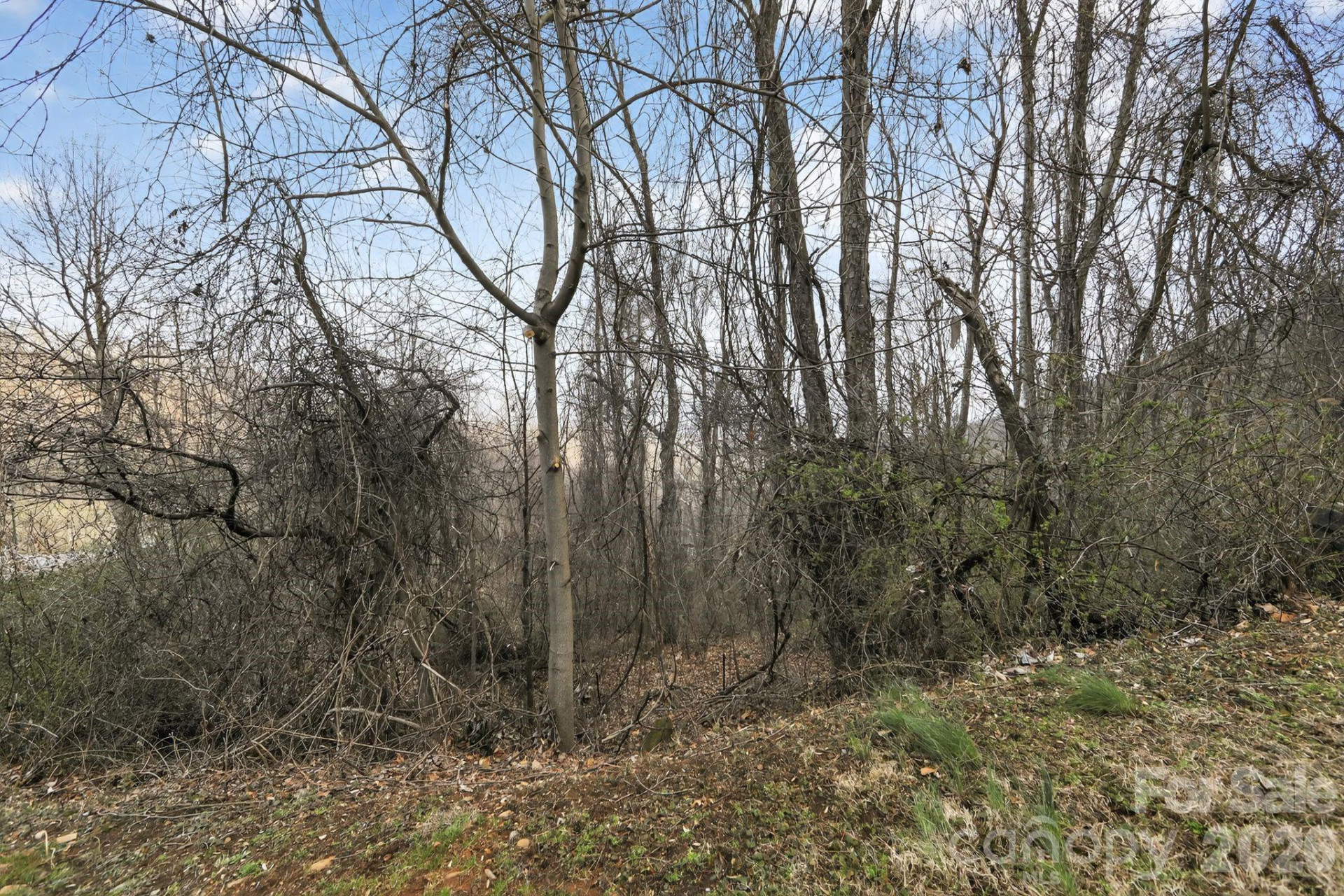 80 View Ridge Parkway - Photo 8