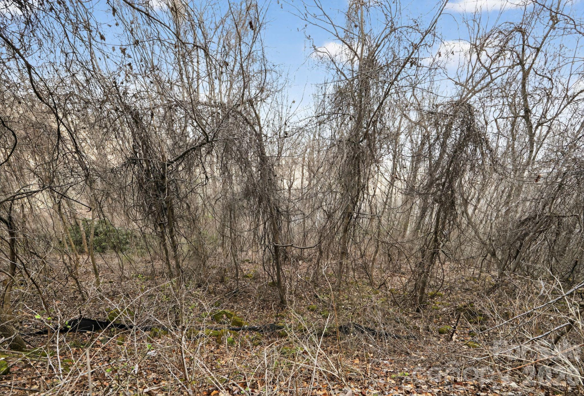 80 View Ridge Parkway - Photo 9