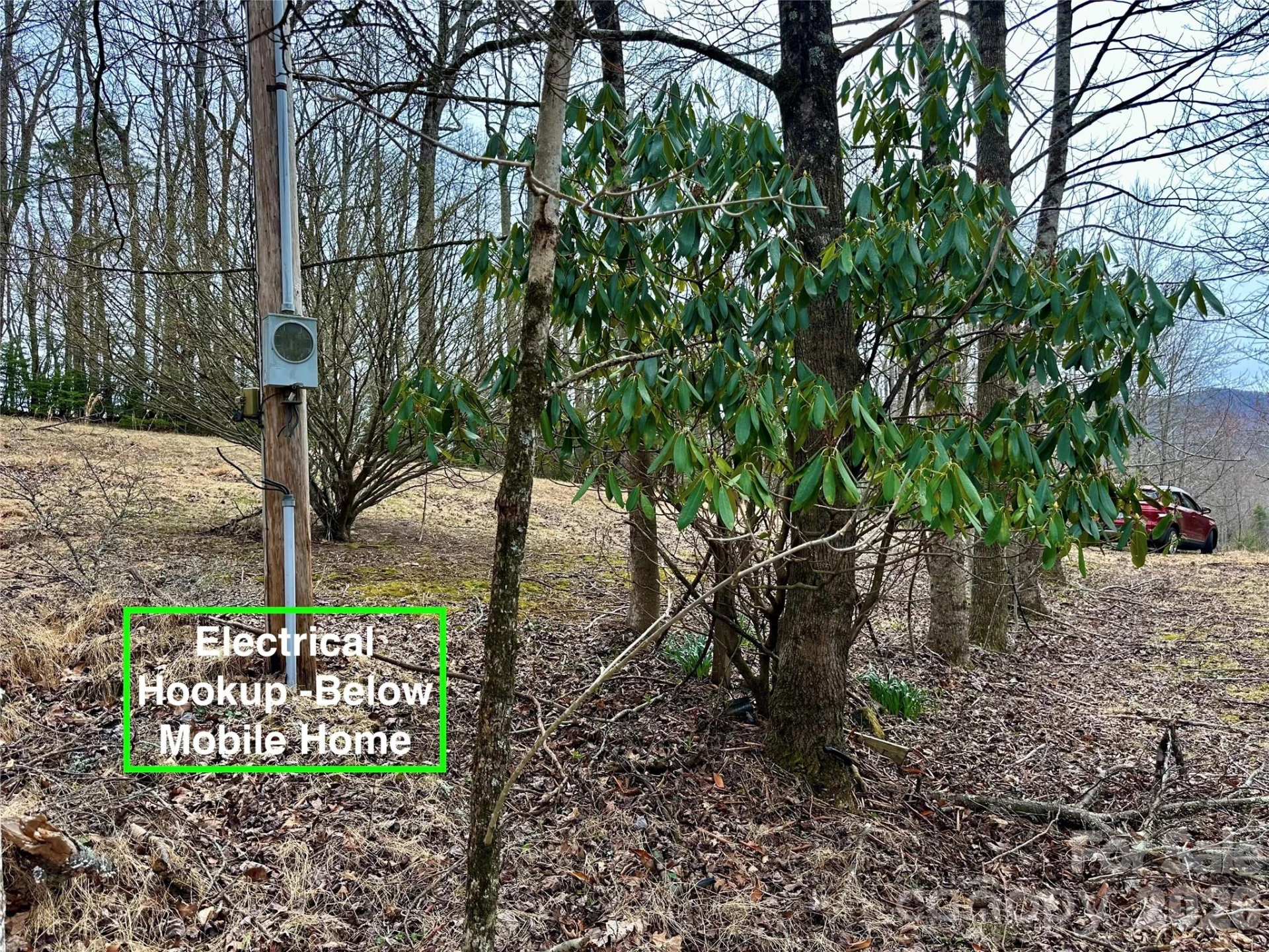 65 Blue Ridge Gem Mine Road - Photo 9