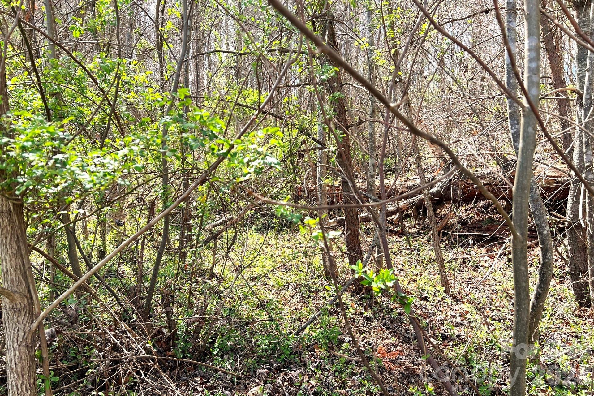 99999 Martin Branch Road - Photo 12