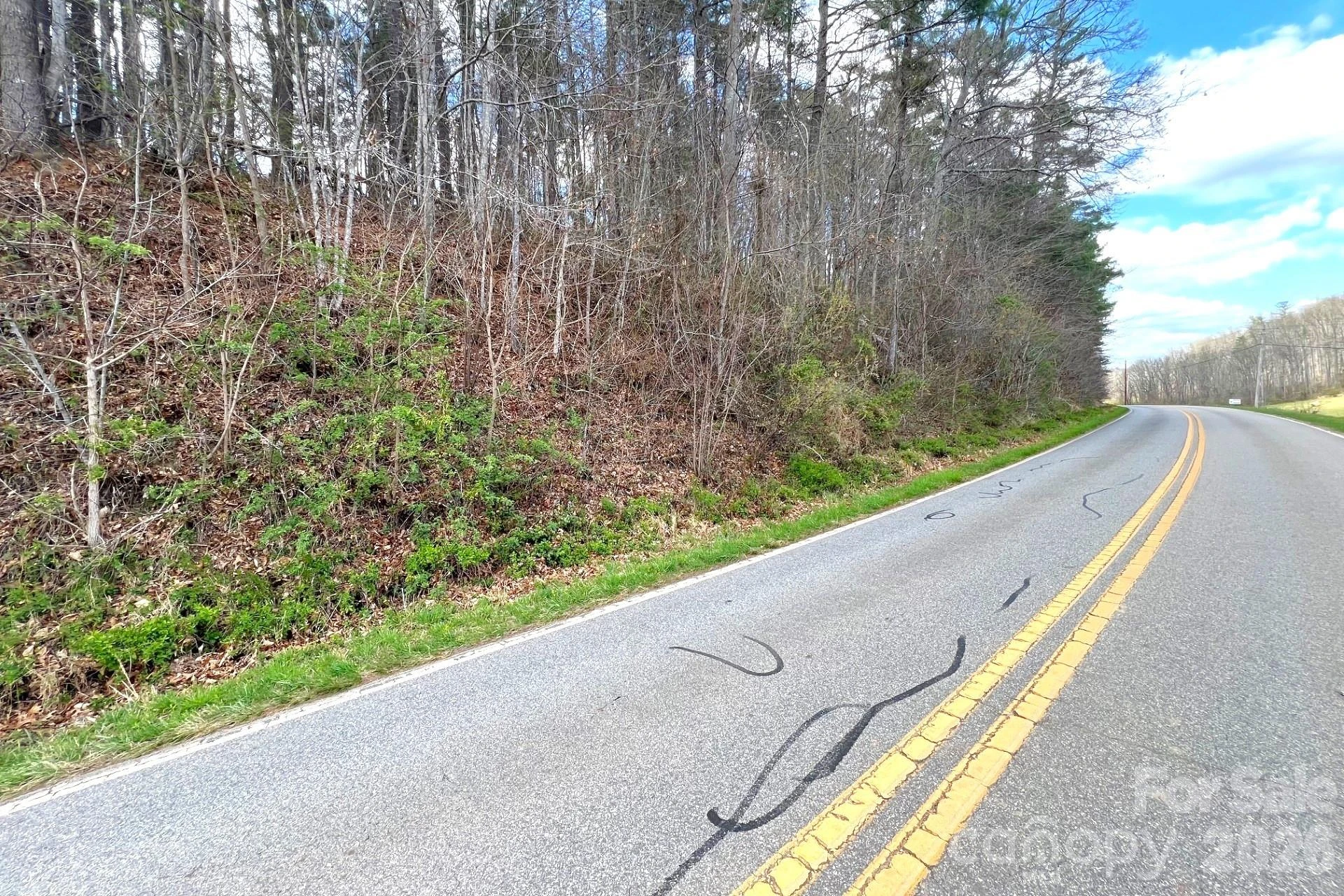 99999 Martin Branch Road - Photo 5