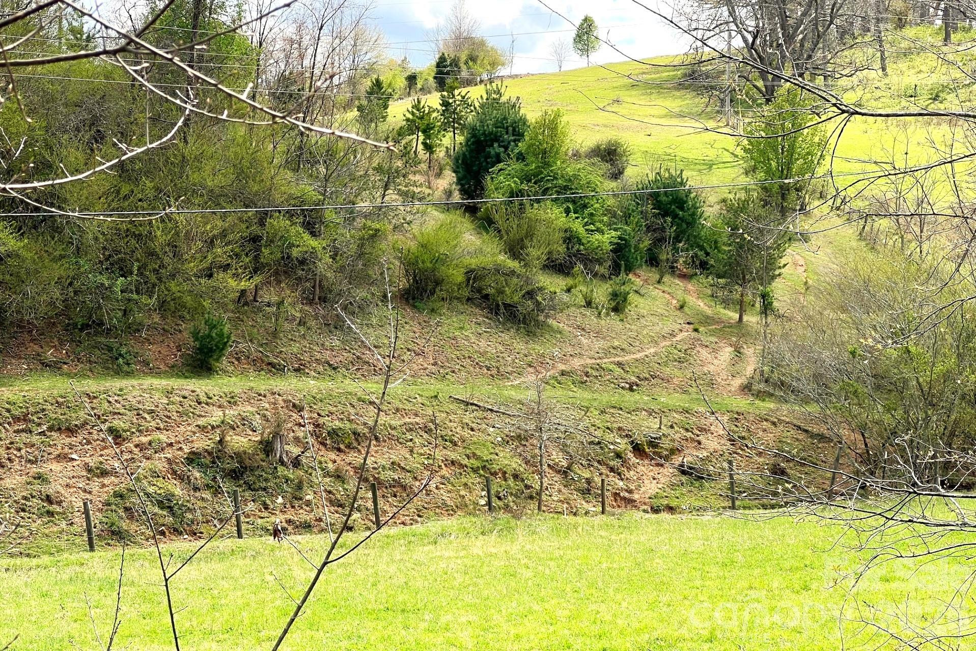 99999 Martin Branch Road - Photo 8