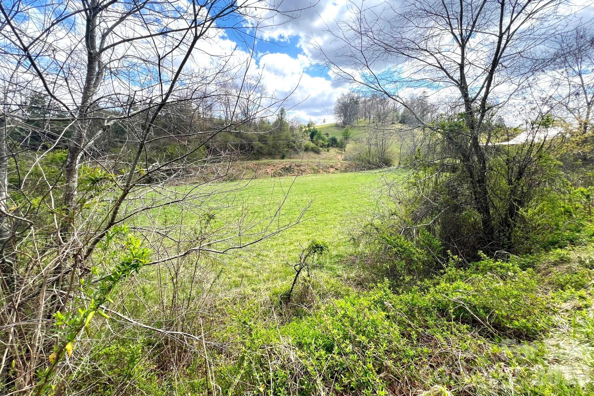 99999 Martin Branch Road - Photo 9