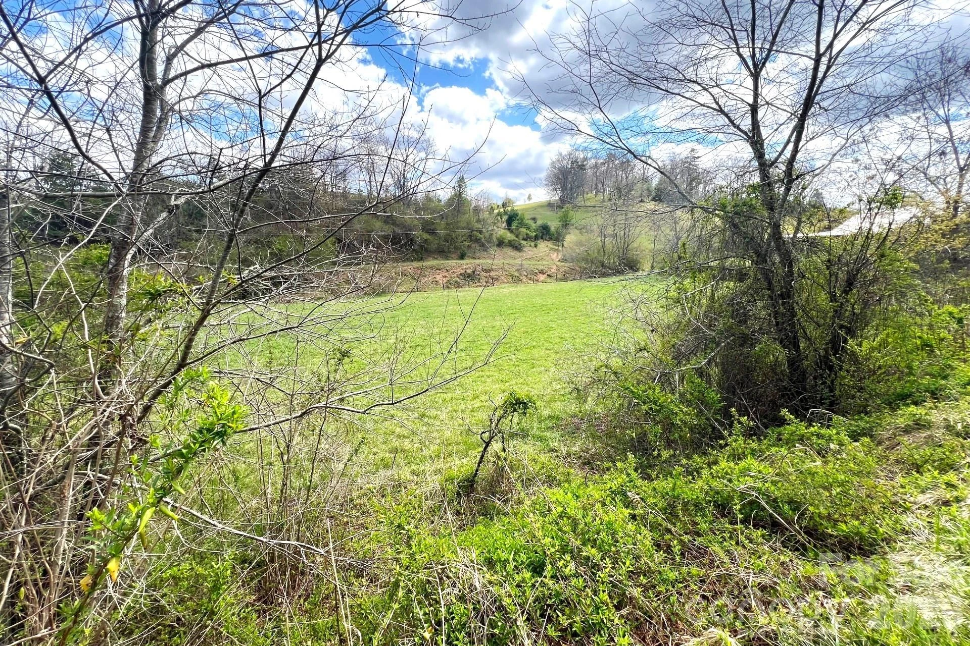 99999 Martin Branch Road - Photo 9
