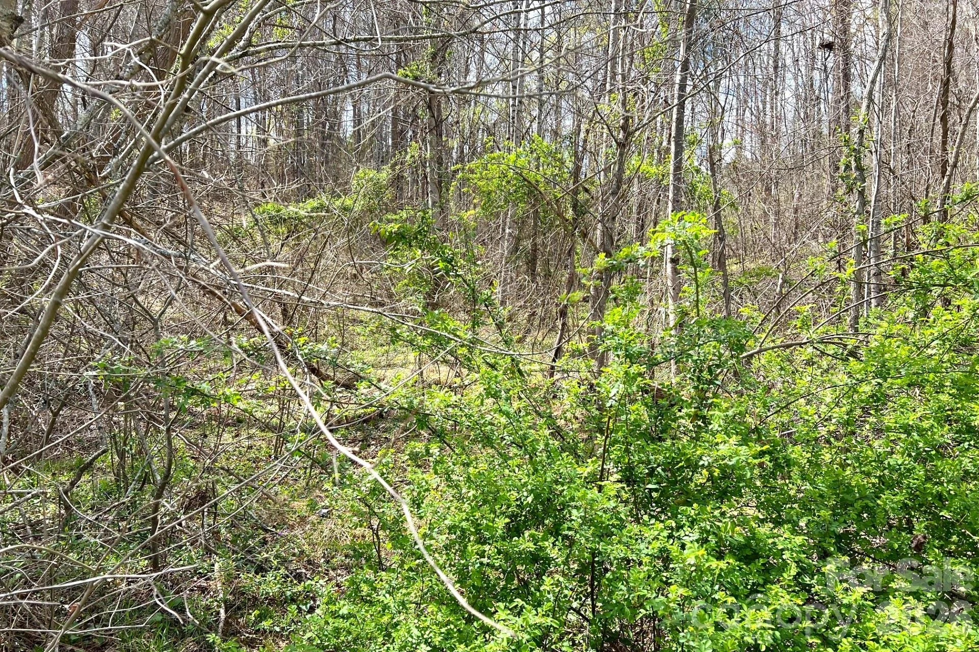 99999 Martin Branch Road - Photo 10