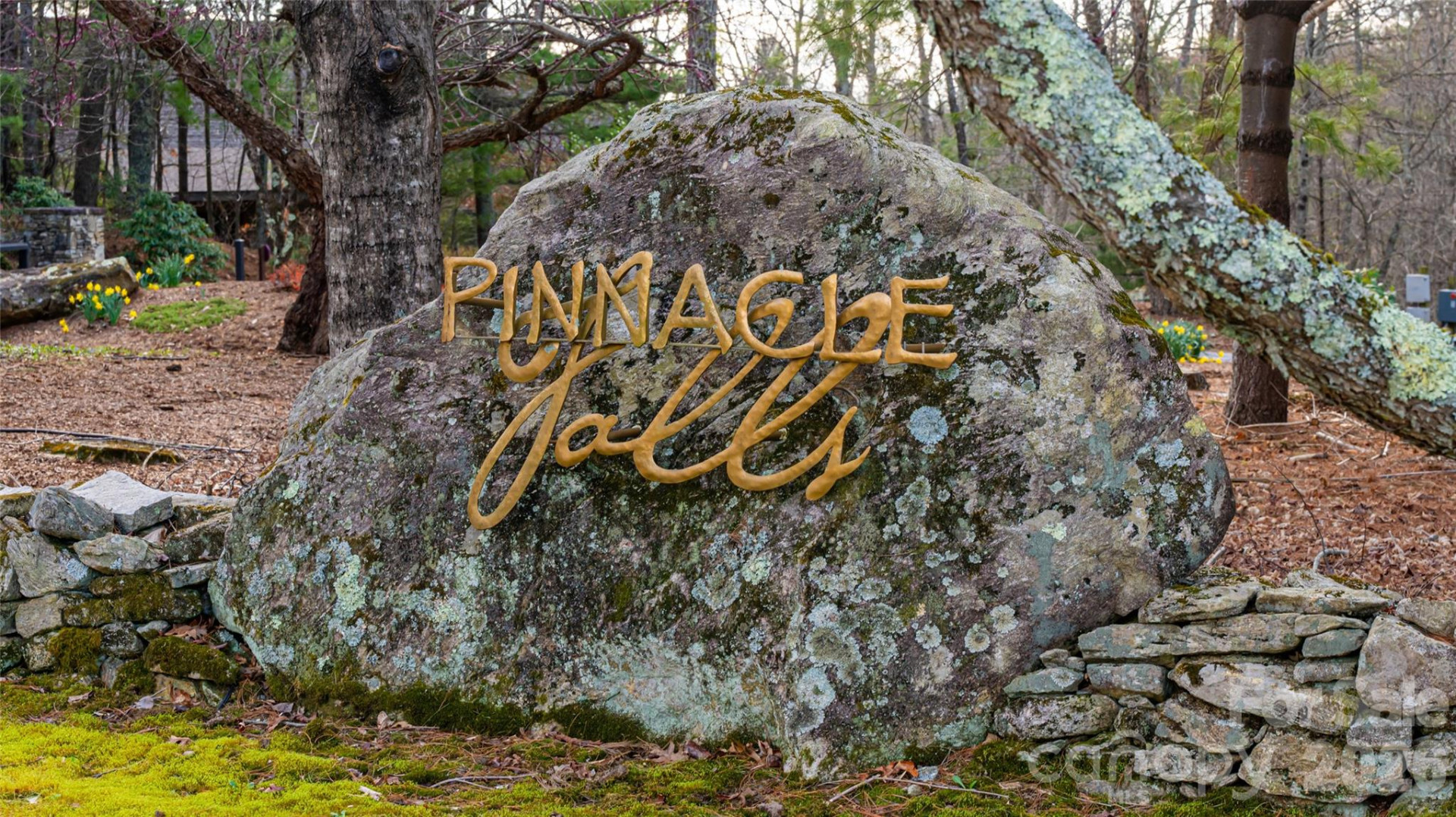 82 Red Mulberry Drive - Photo 47