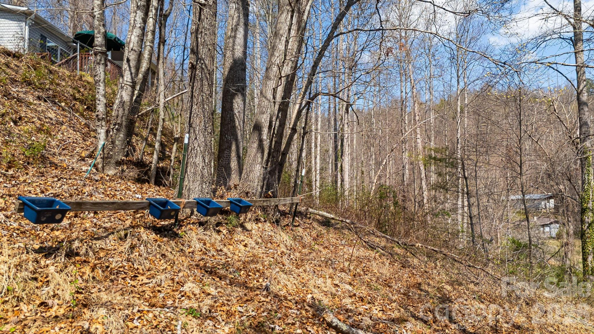 403 Youngs Gap Road - Photo 35