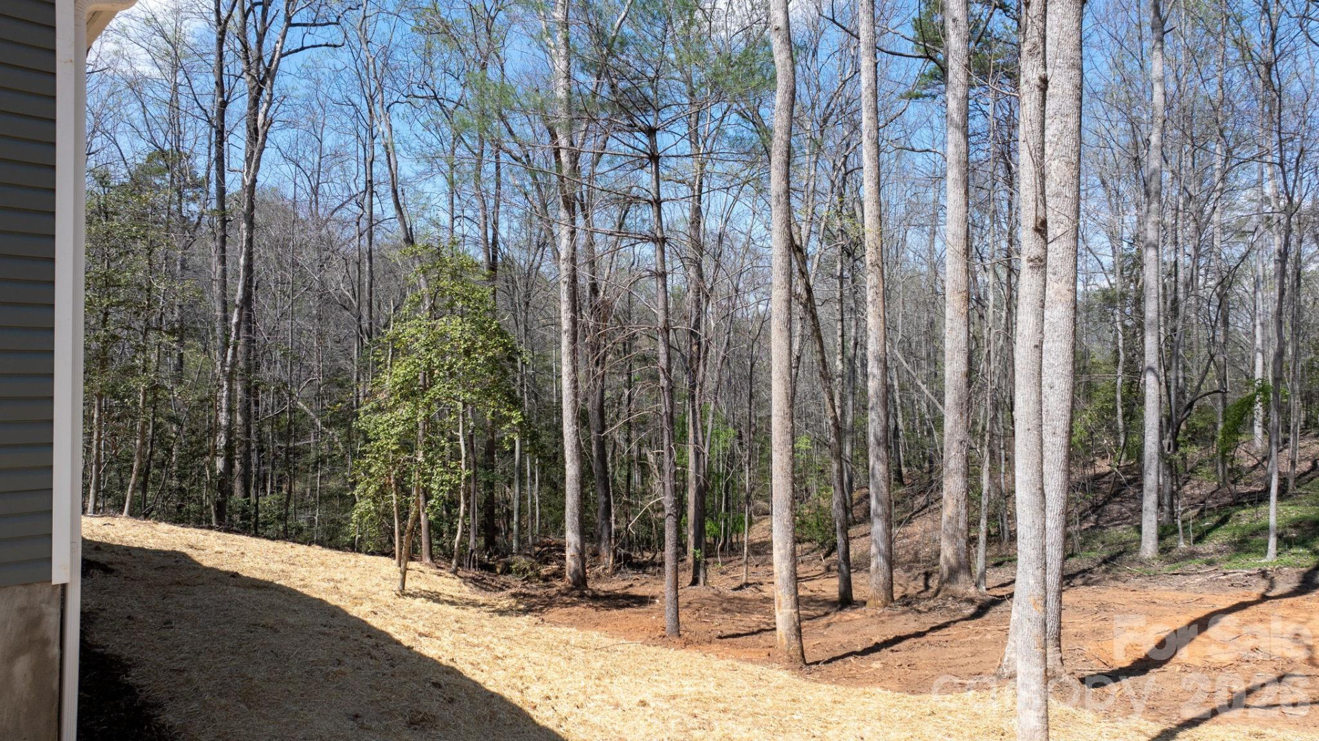 102 Kitchings Drive - Photo 17