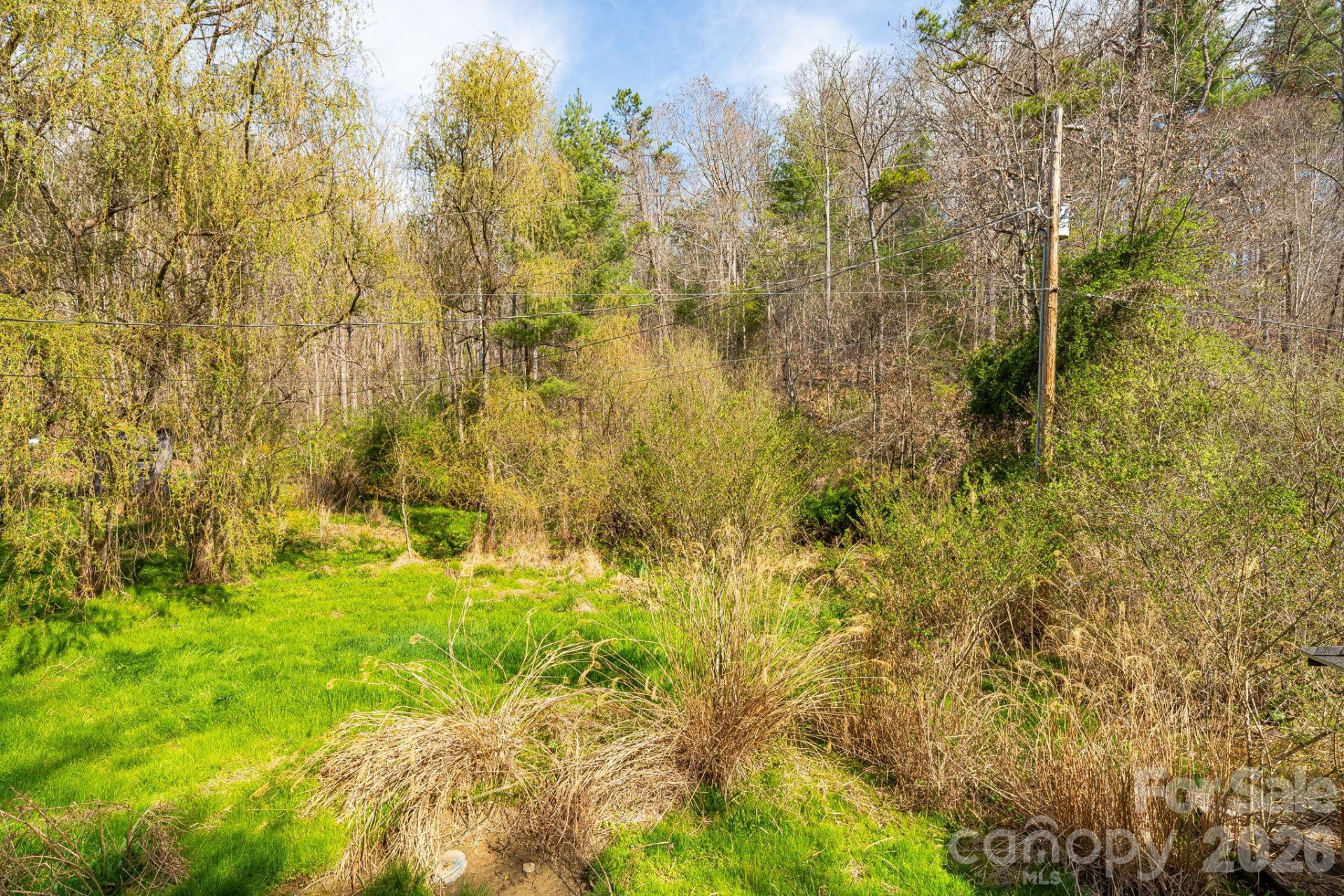 3903 NC Hwy 213 Highway - Photo 29