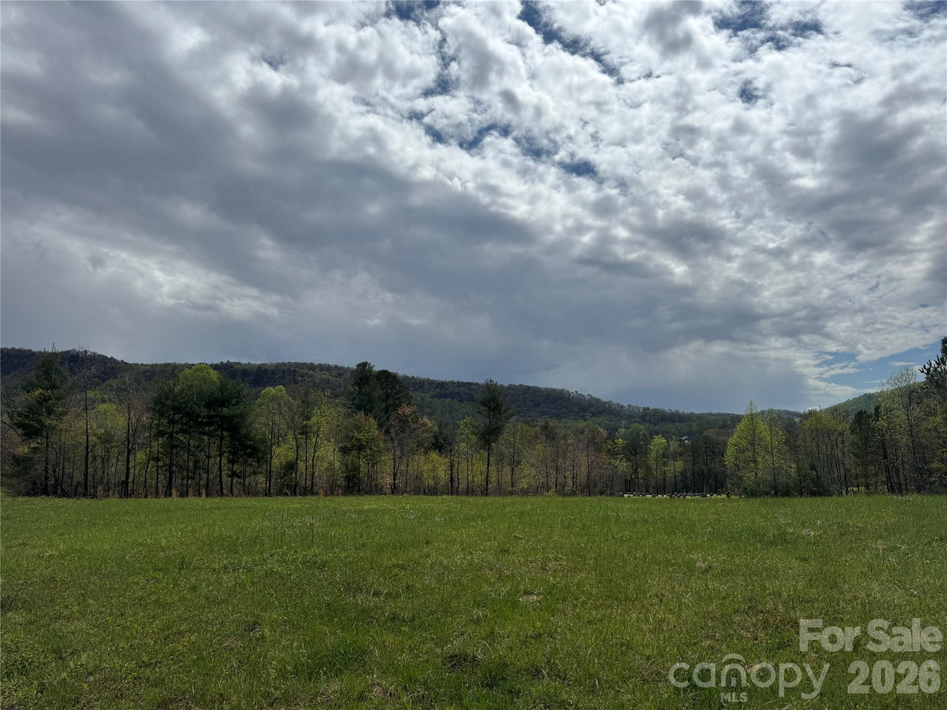 99999 Huntsville Road - Photo 5