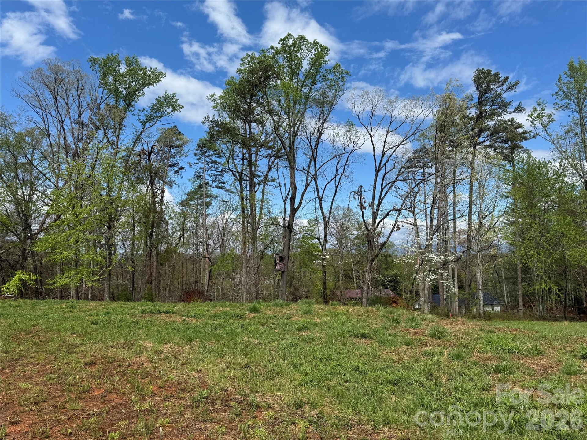 99999 Huntsville Road - Photo 10