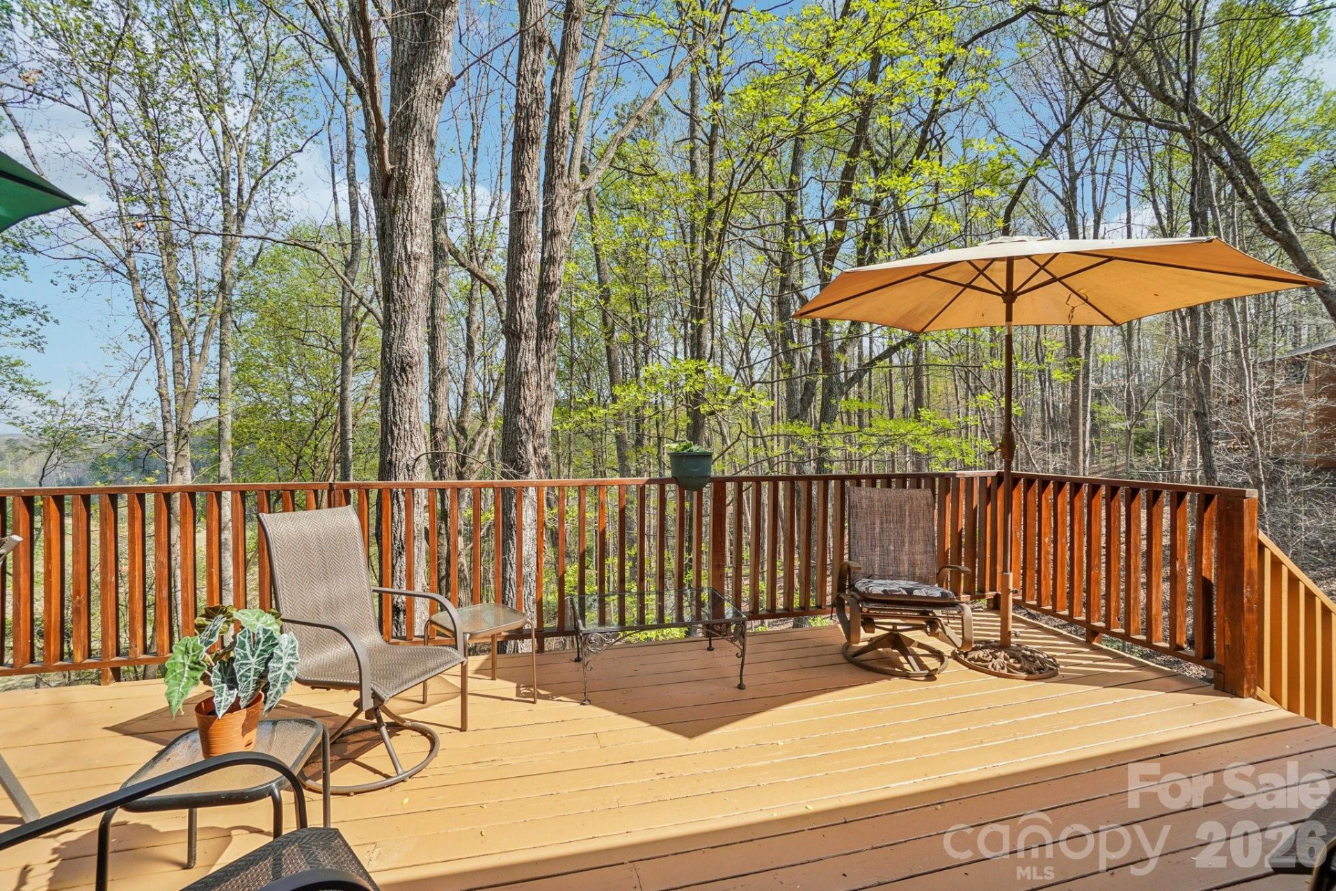 409 Whitney Boulevard - Photo 15