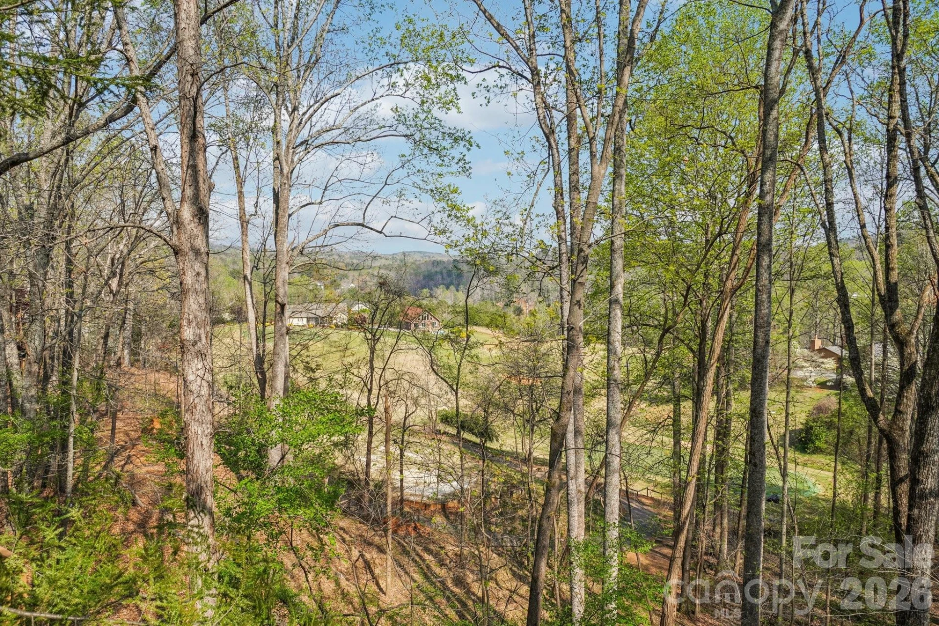 409 Whitney Boulevard - Photo 23