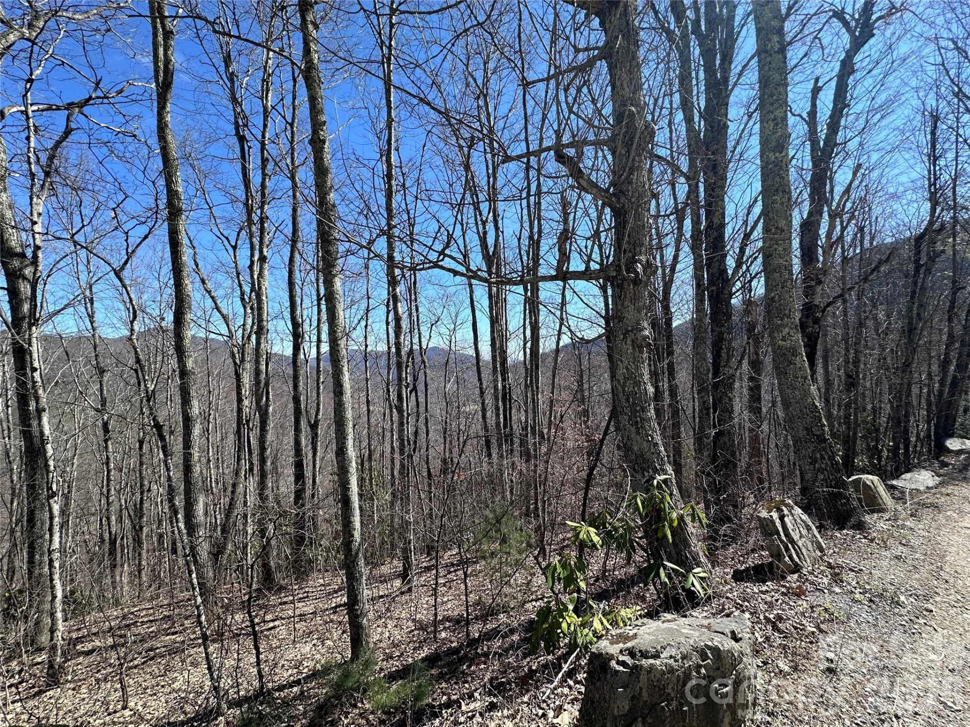Lot 43 Huckleberry Drive