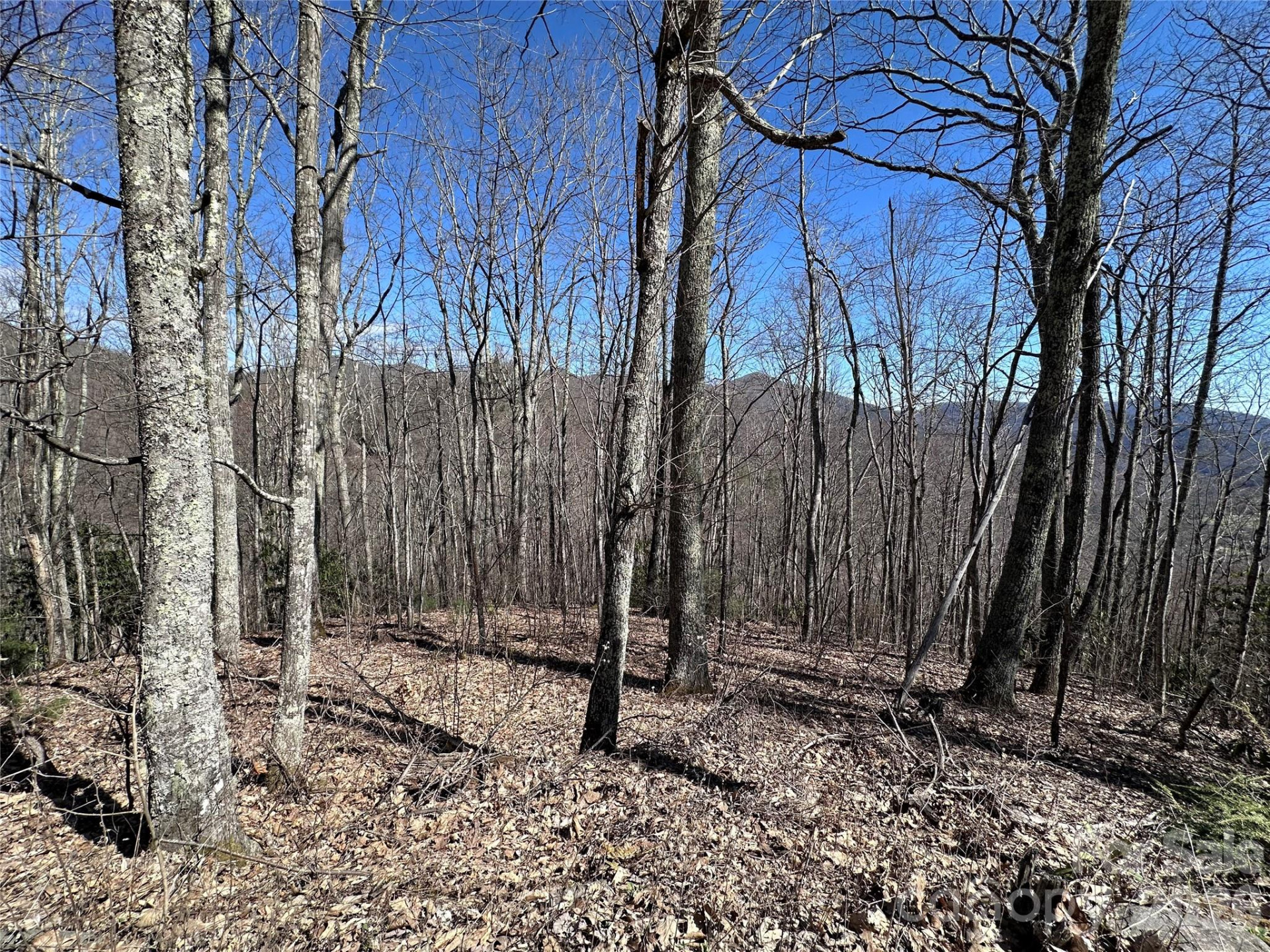 Lot 43 Huckleberry Drive - Photo 2