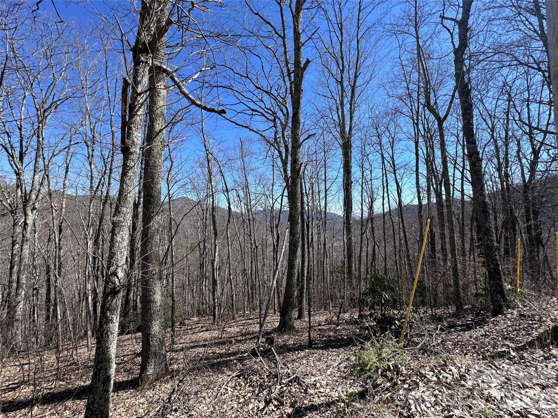 Lot 43 Huckleberry Drive - Photo 3
