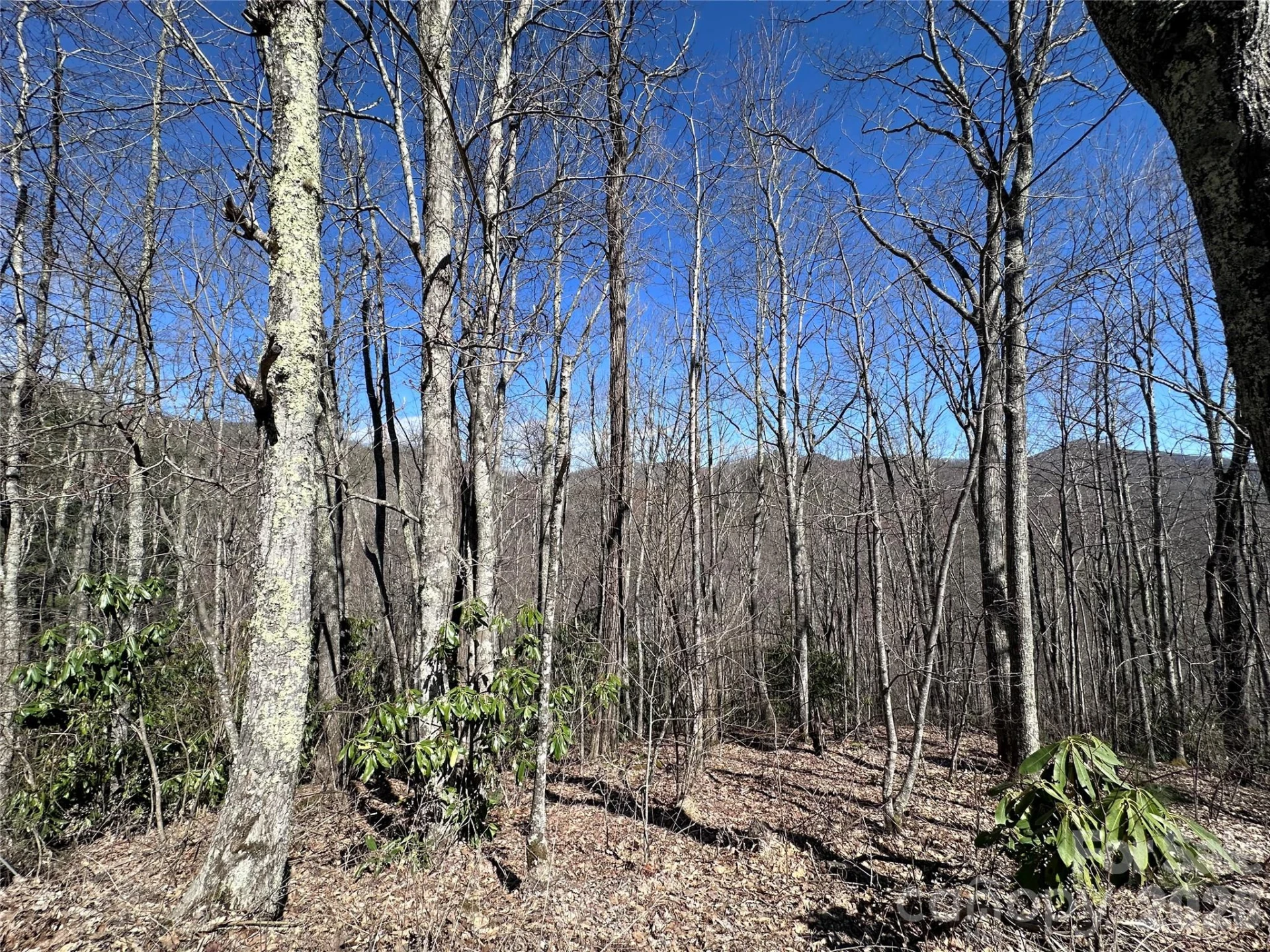 Lot 43 Huckleberry Drive - Photo 4