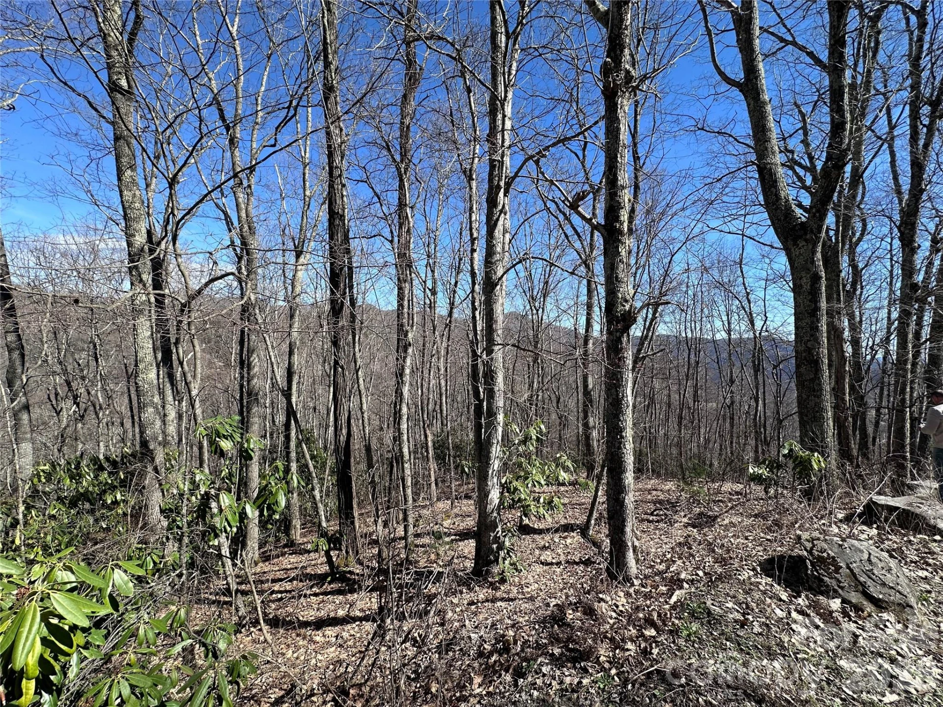 Lot 43 Huckleberry Drive - Photo 5