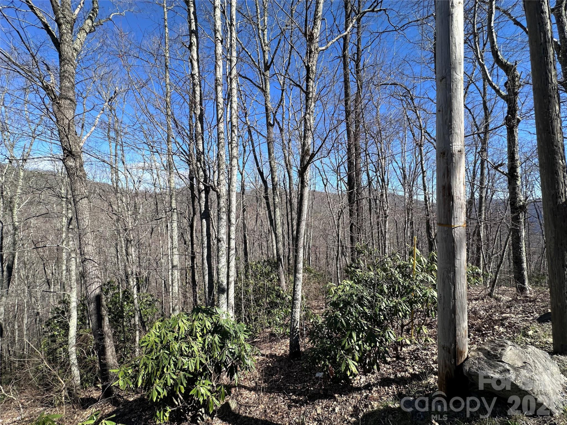 Lot 43 Huckleberry Drive - Photo 6