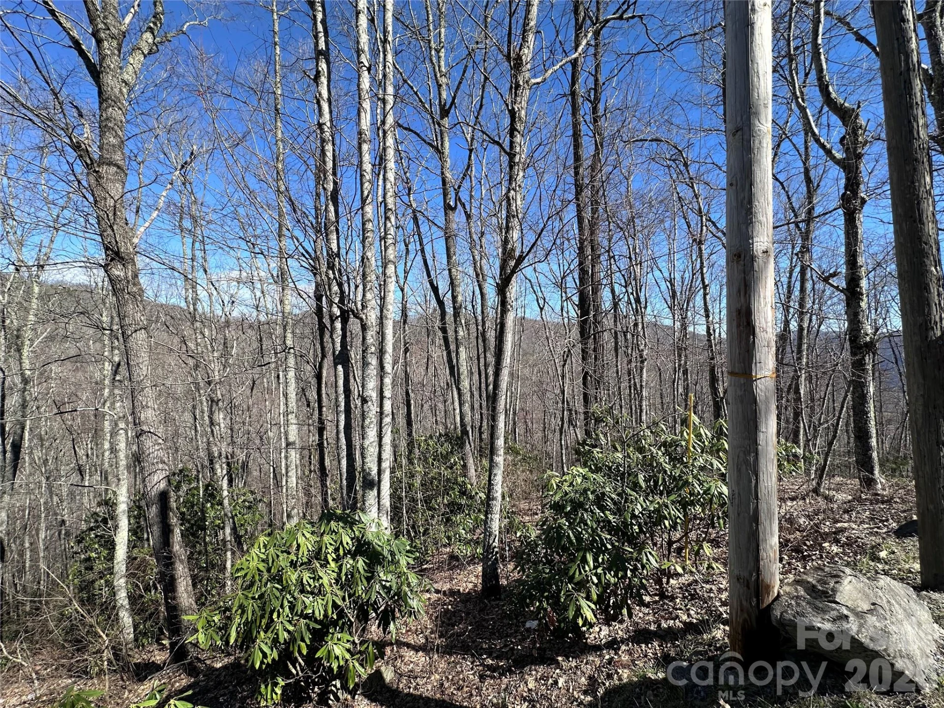 Lot 43 Huckleberry Drive - Photo 6