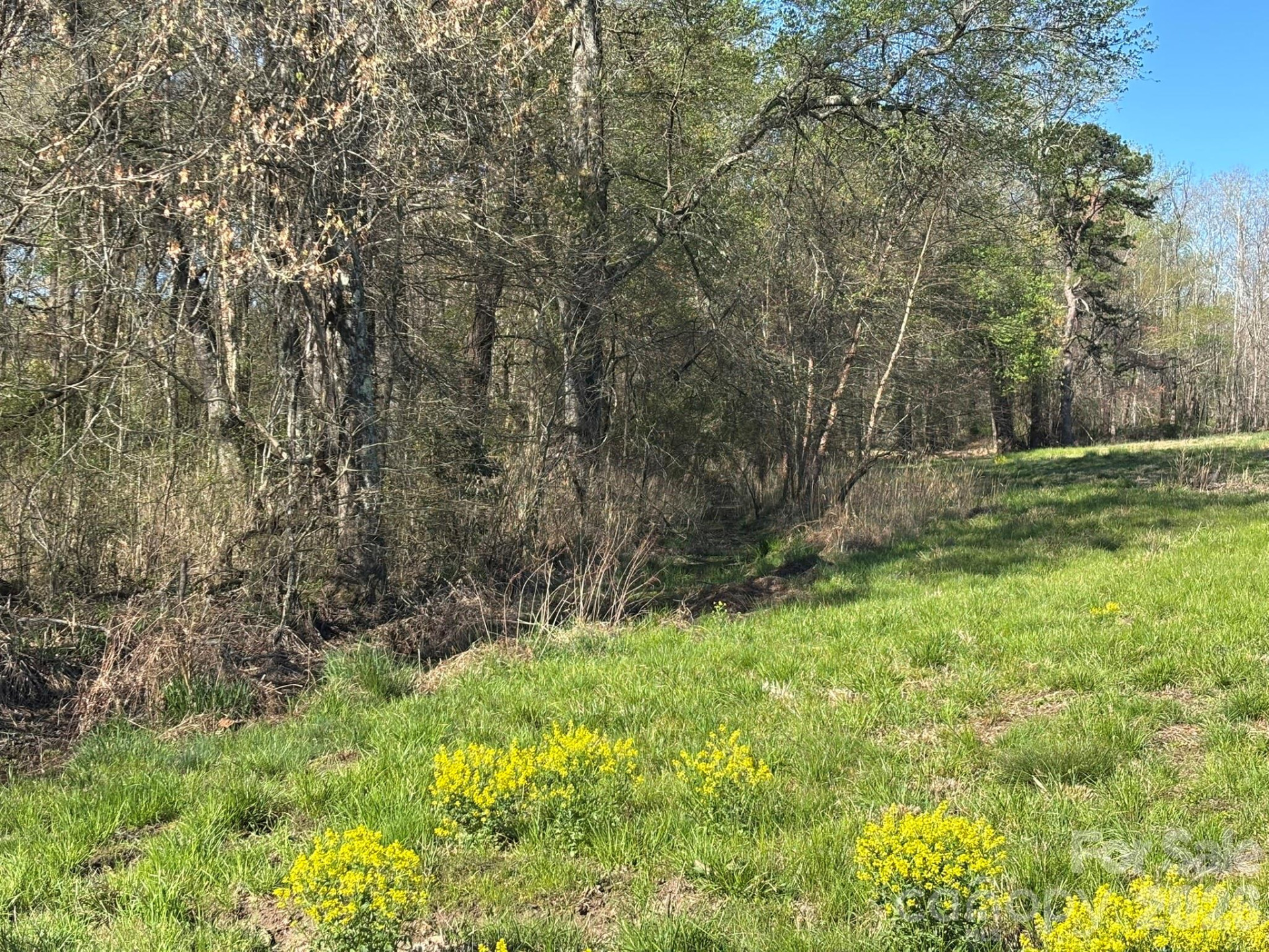 Lot #4 Prince Road - Photo 11