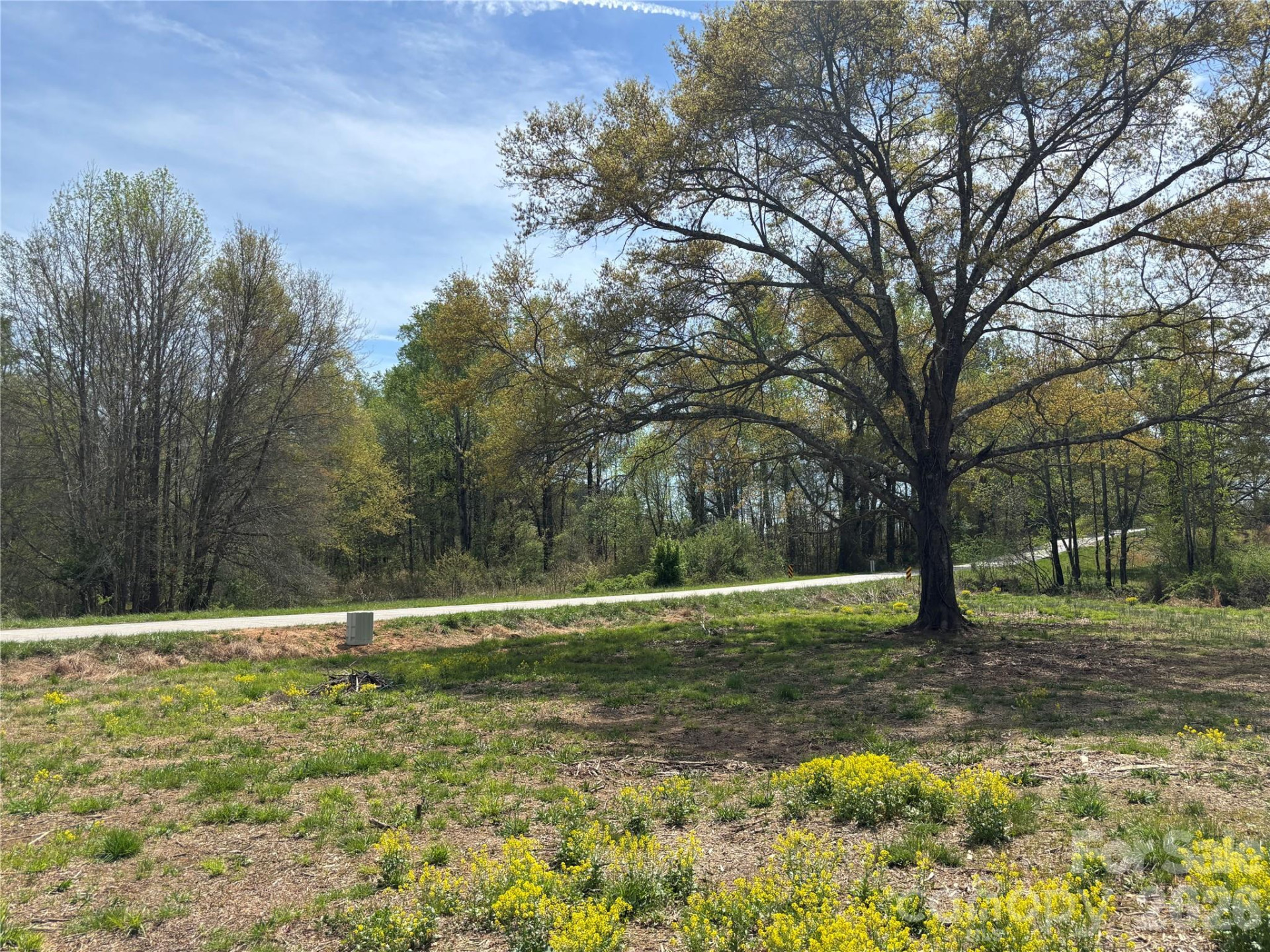 Lot #4 Prince Road - Photo 12