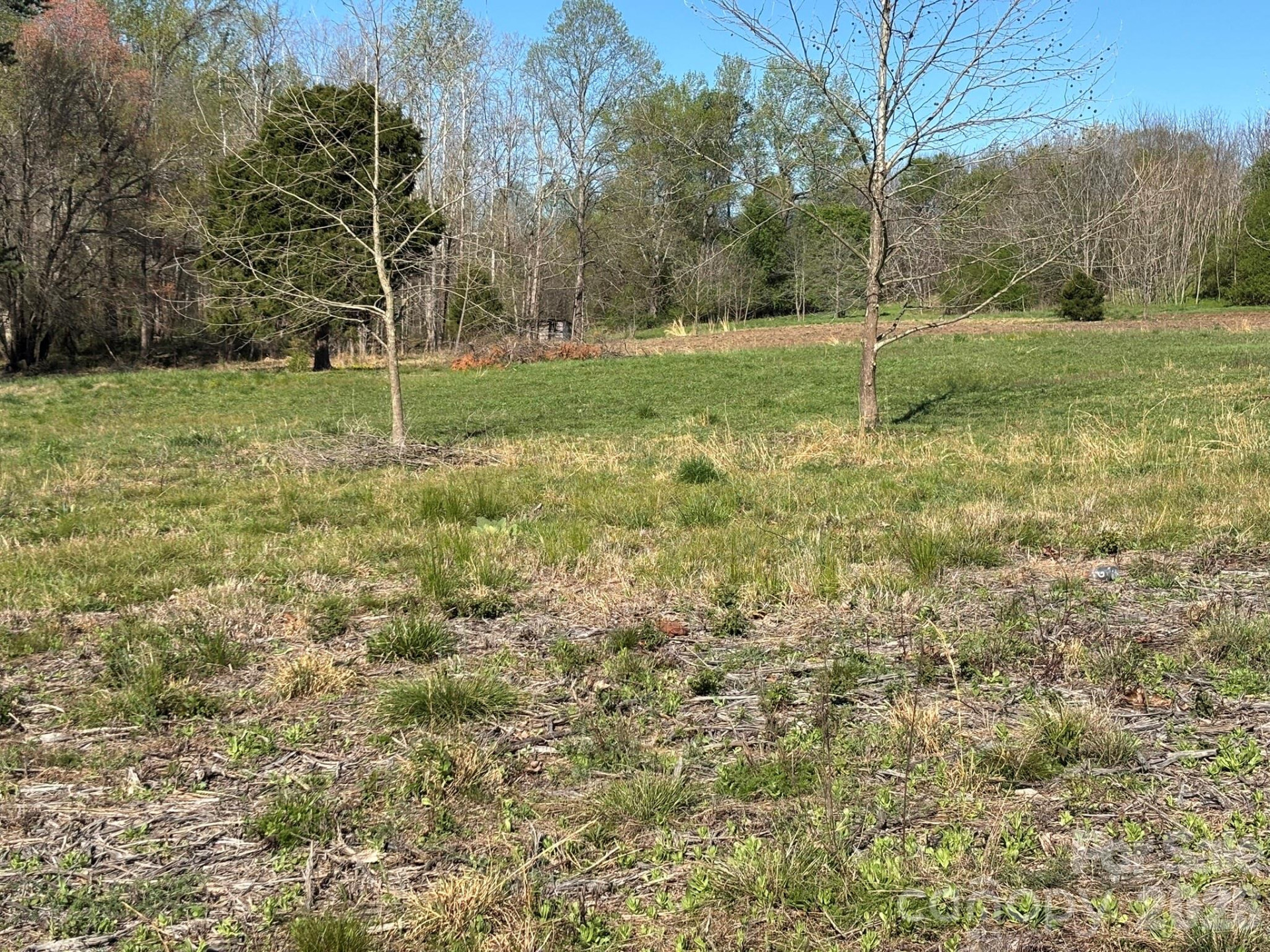 Lot #4 Prince Road - Photo 14