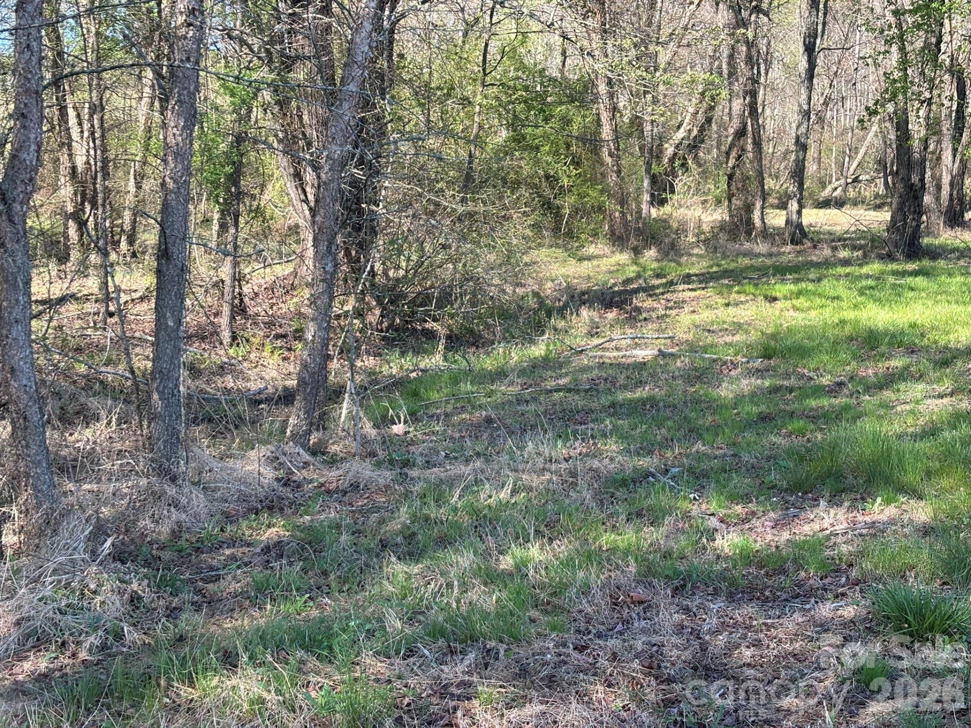 Lot #4 Prince Road - Photo 16