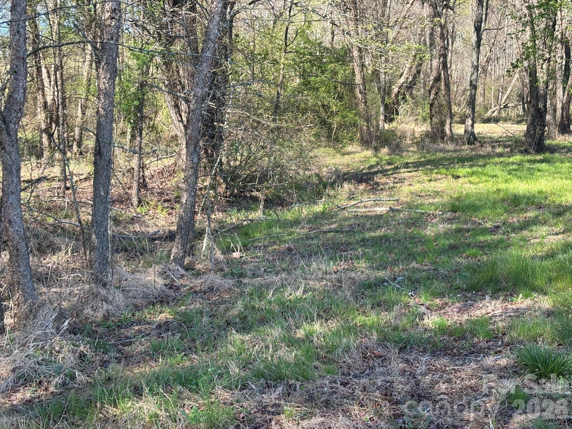 Lot #4 Prince Road - Photo 17