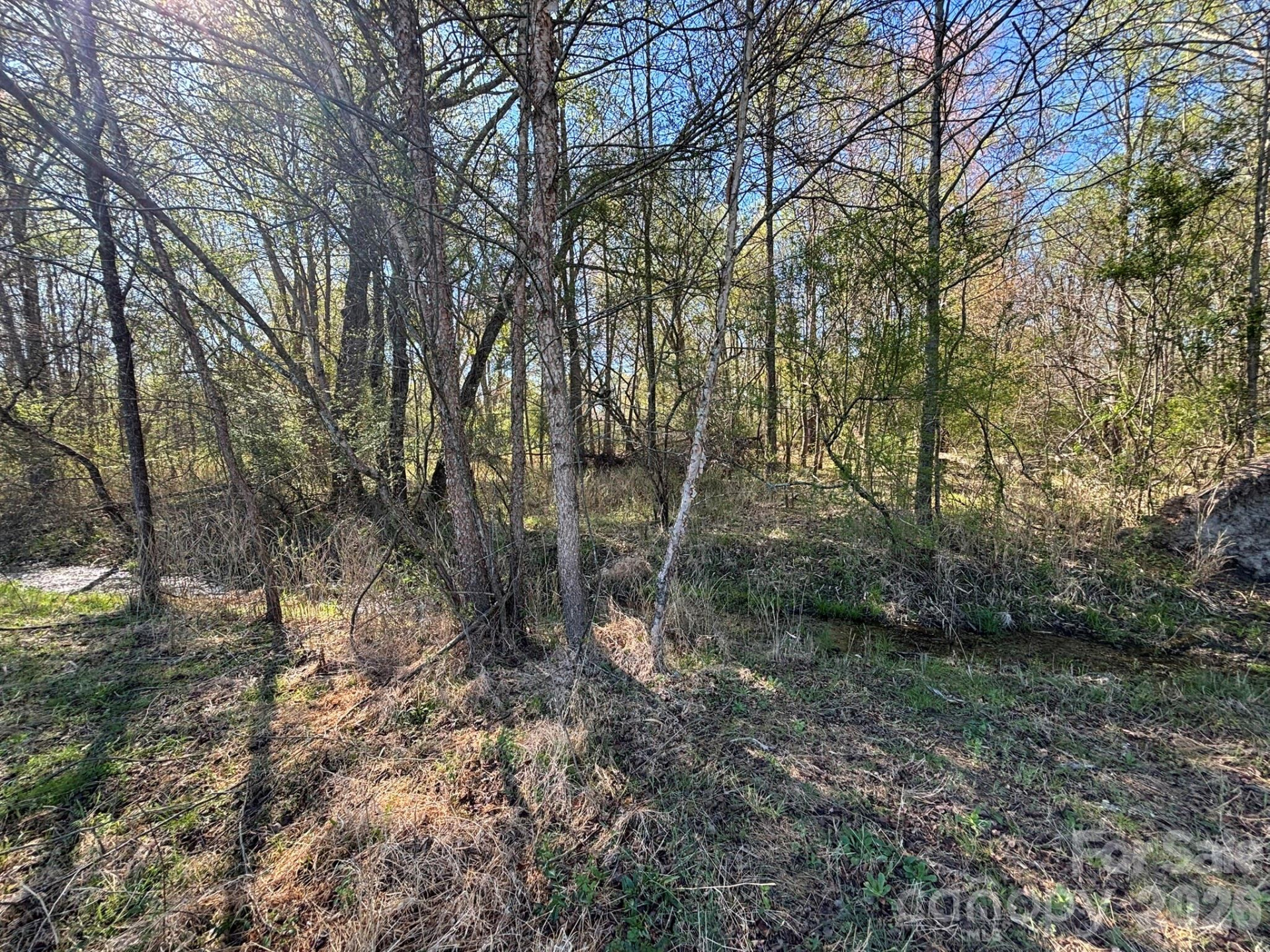 Lot #4 Prince Road - Photo 18