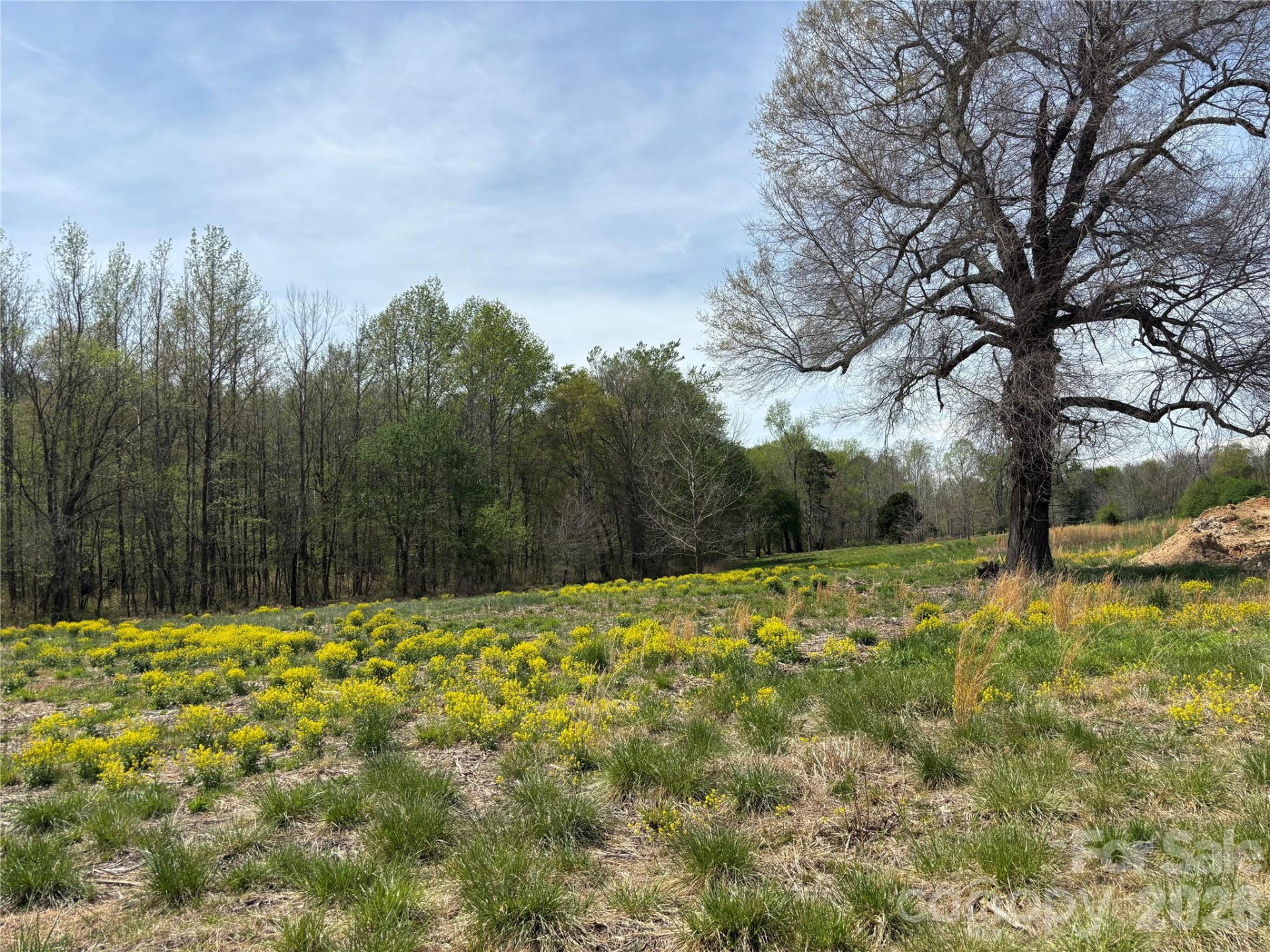 Lot #4 Prince Road - Photo 19