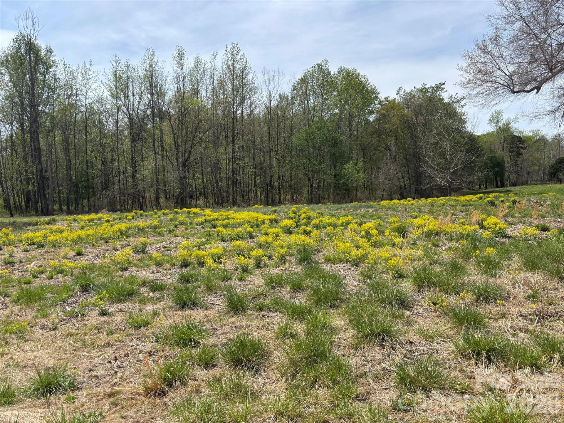 Lot #4 Prince Road - Photo 20