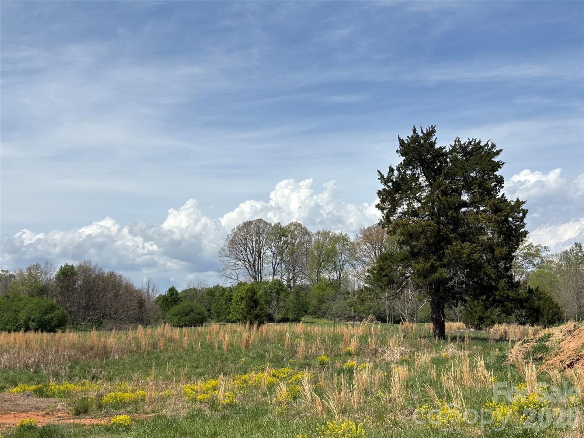 Lot #4 Prince Road - Photo 3