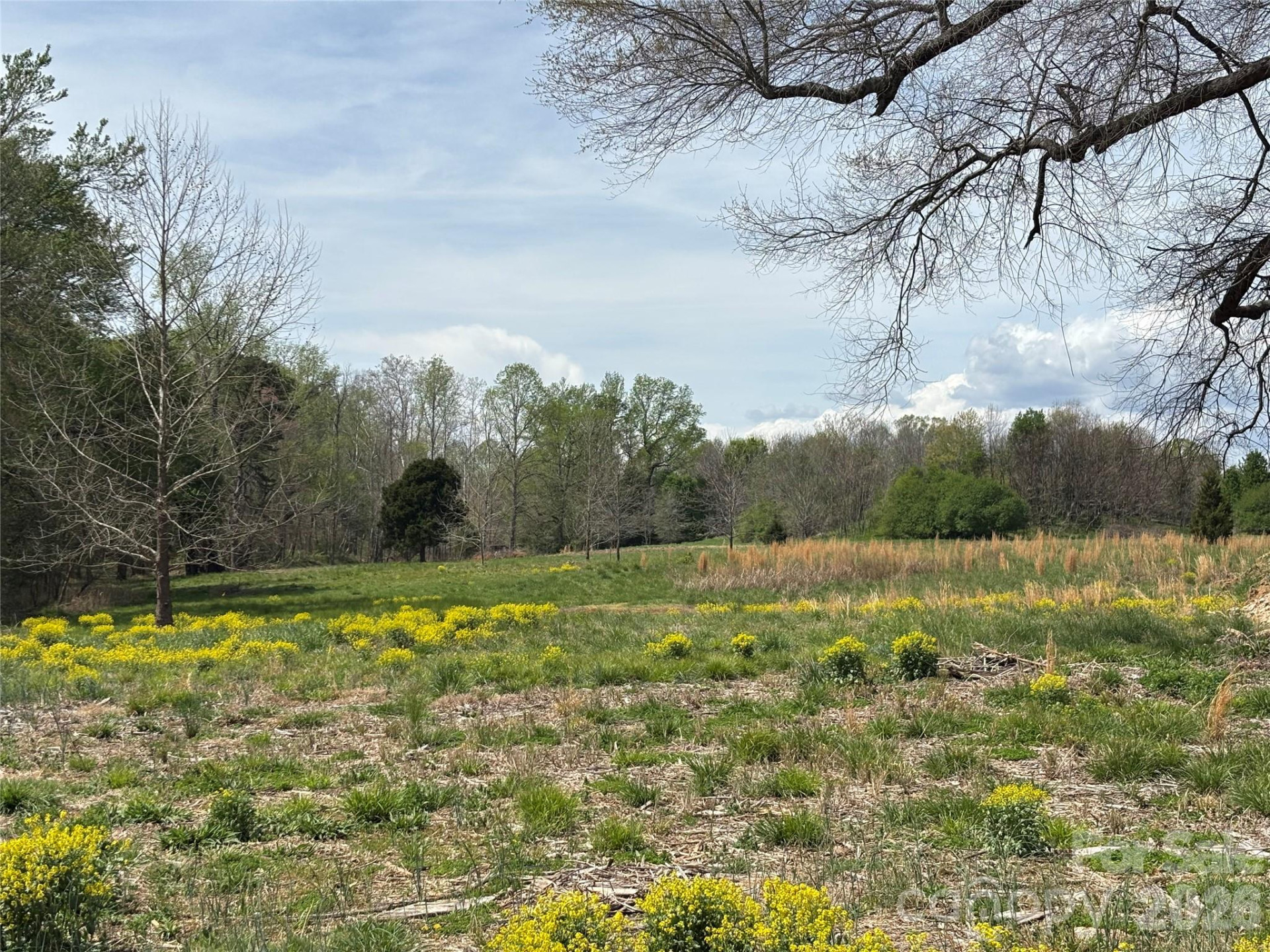 Lot #4 Prince Road - Photo 21